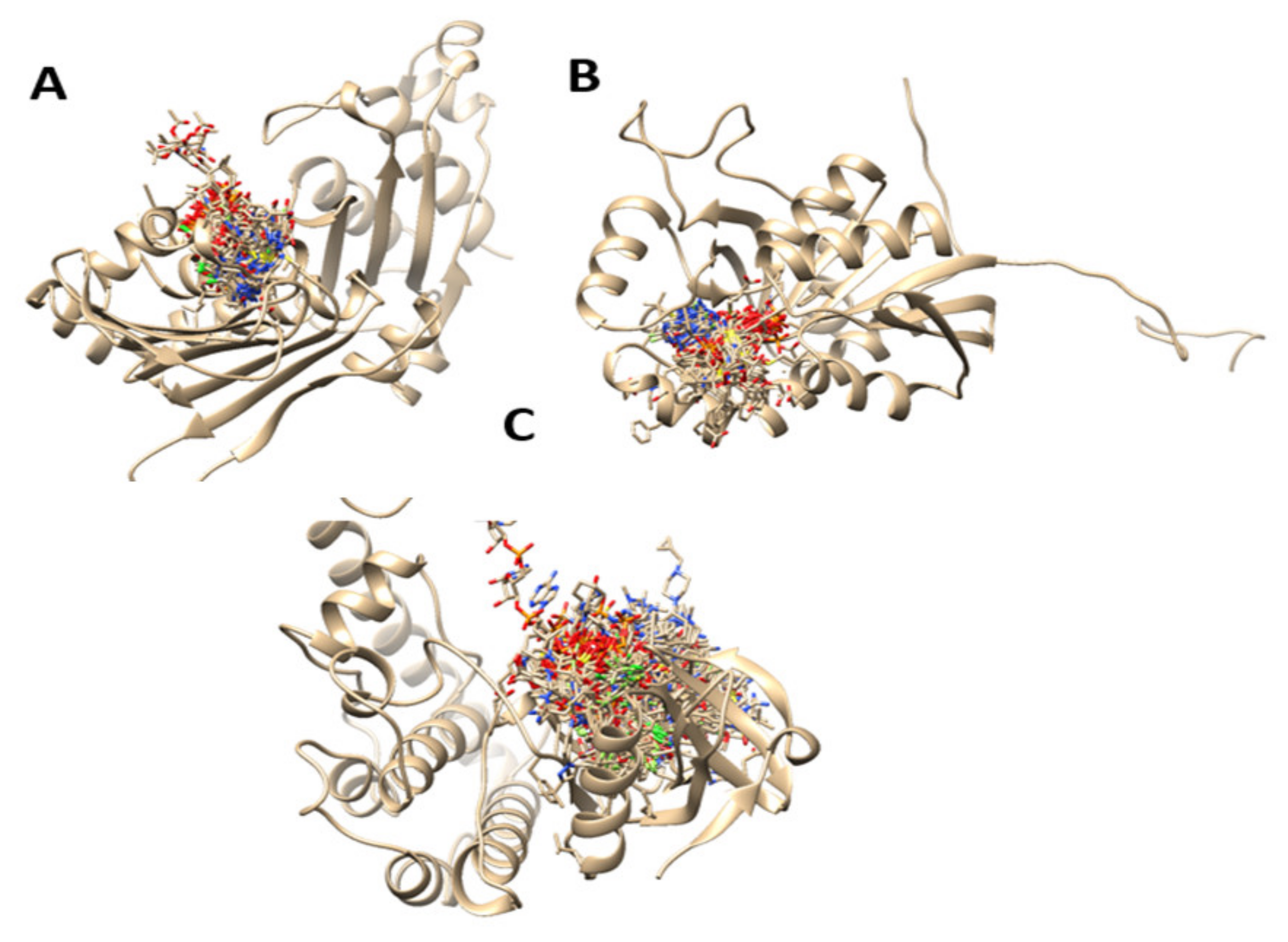 Symmetry 13 00948 g002 Symmetry 13 00948 g002