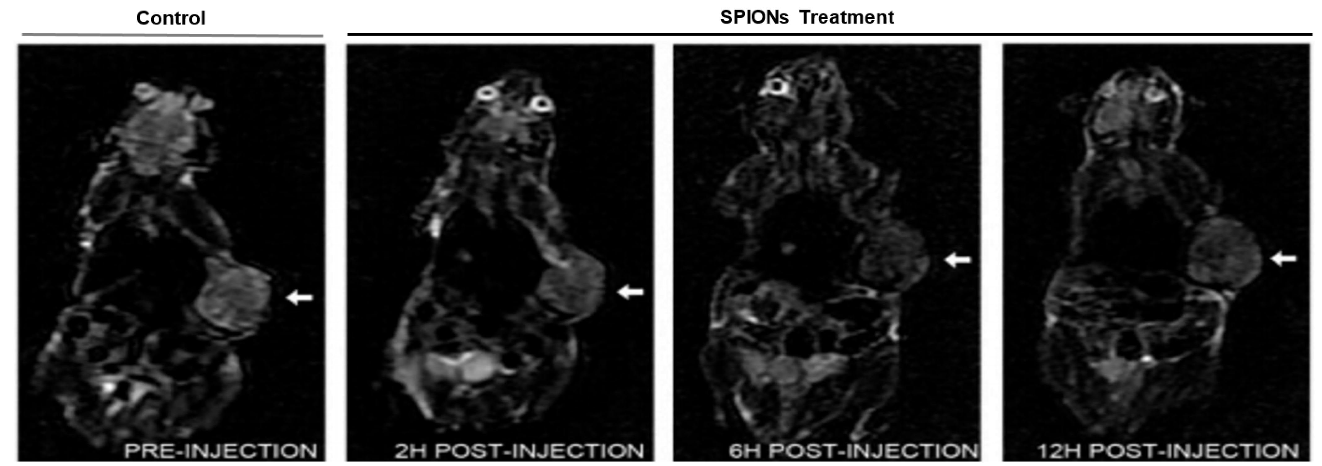 Symmetry 13 00974 g002 Symmetry 13 00974 g002