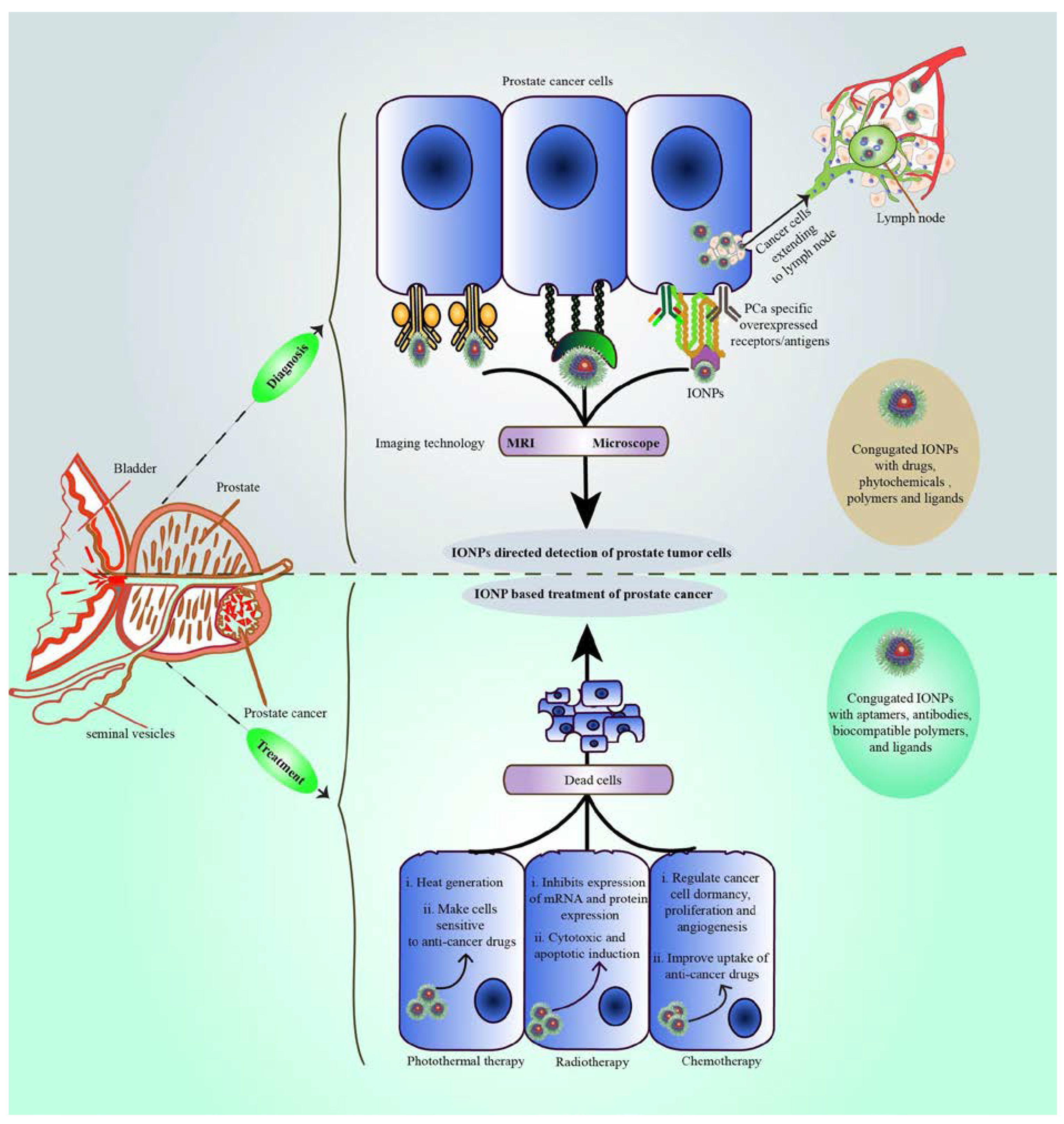 Symmetry 13 00974 g003 Symmetry 13 00974 g003