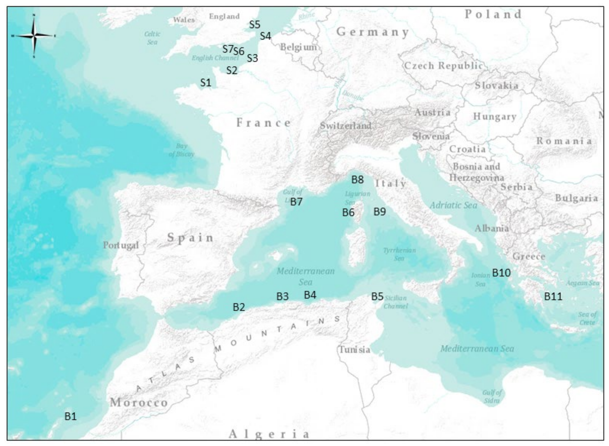Symmetry 13 00987 g002