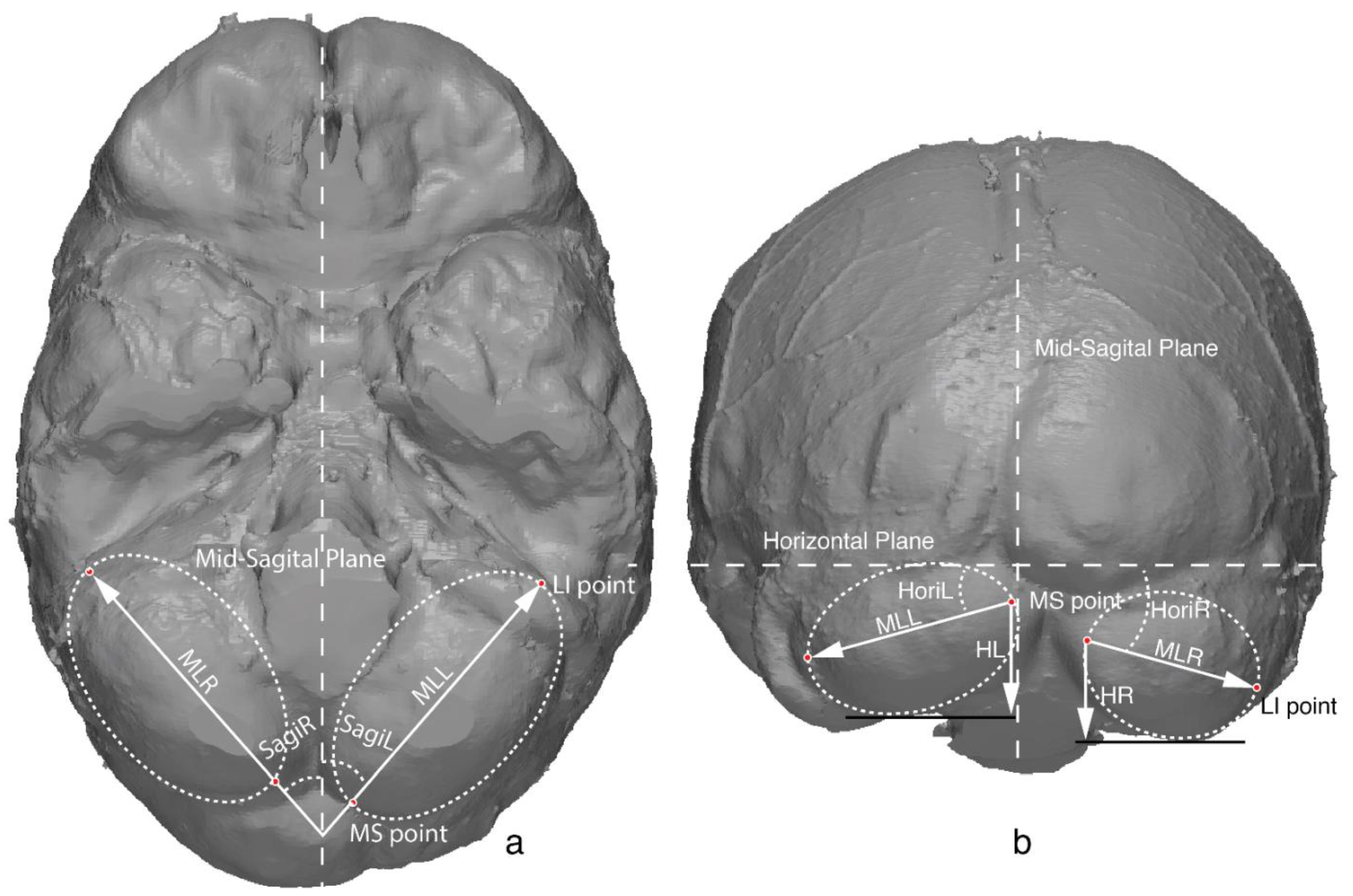 Symmetry 13 00988 g001 Symmetry 13 00988 g001