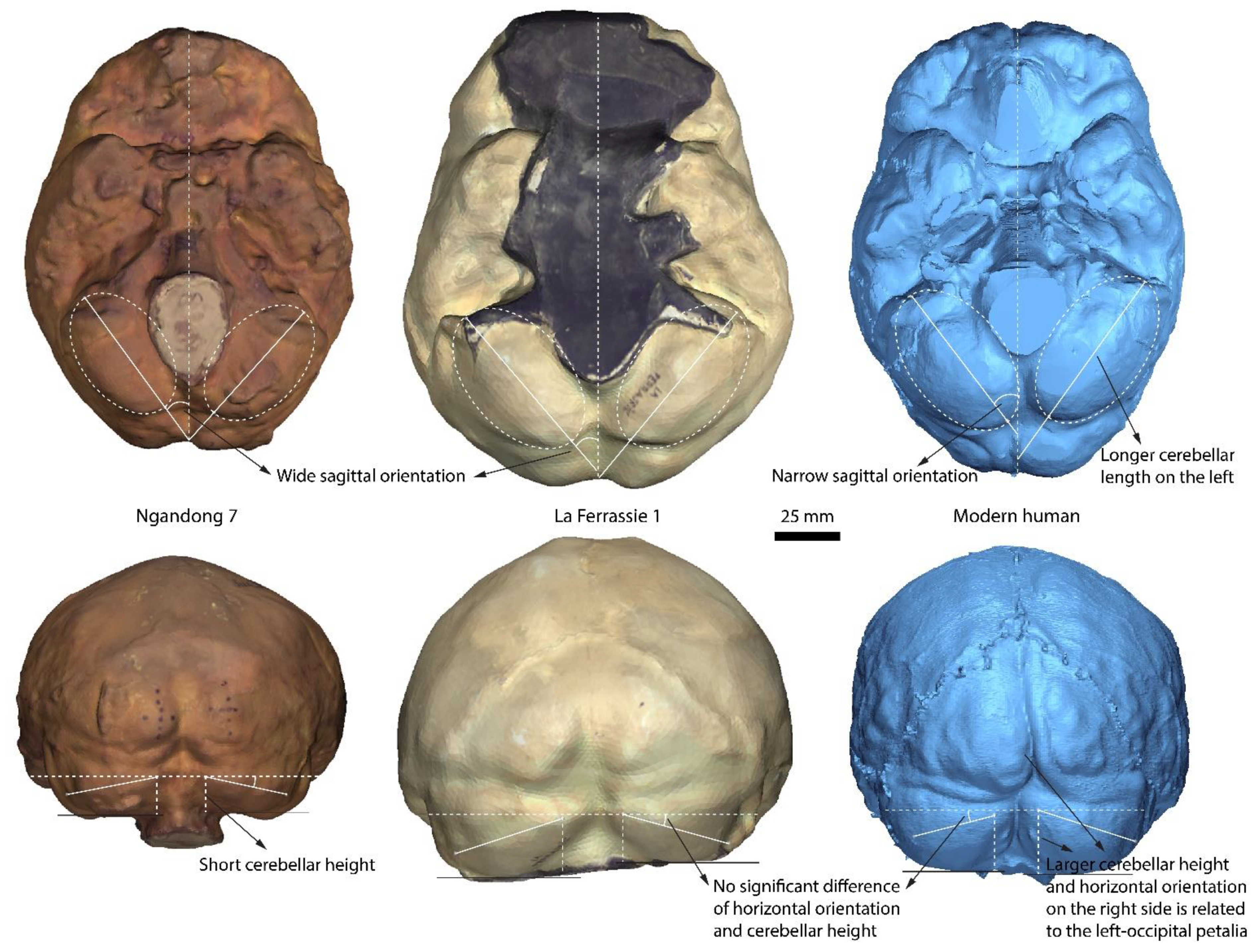 Symmetry 13 00988 g004 Symmetry 13 00988 g004