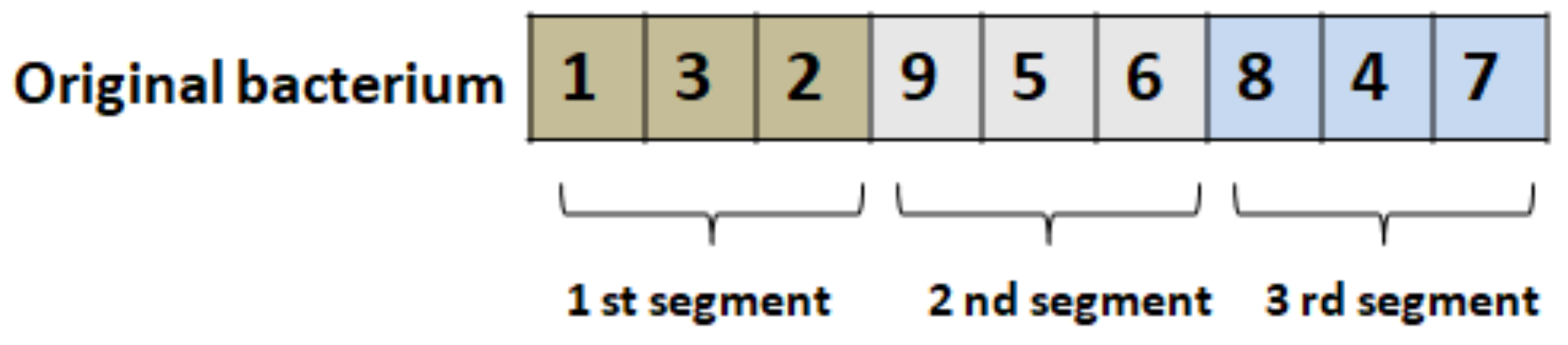 Symmetry 13 01131 g002 550