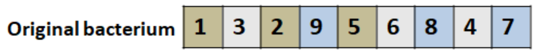 Symmetry 13 01131 g003 550