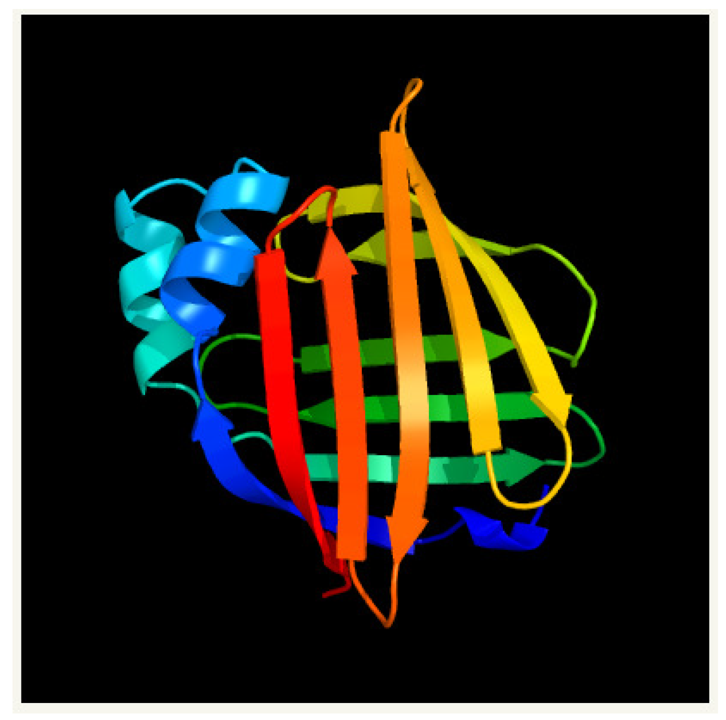 Symmetry 13 01146 g002