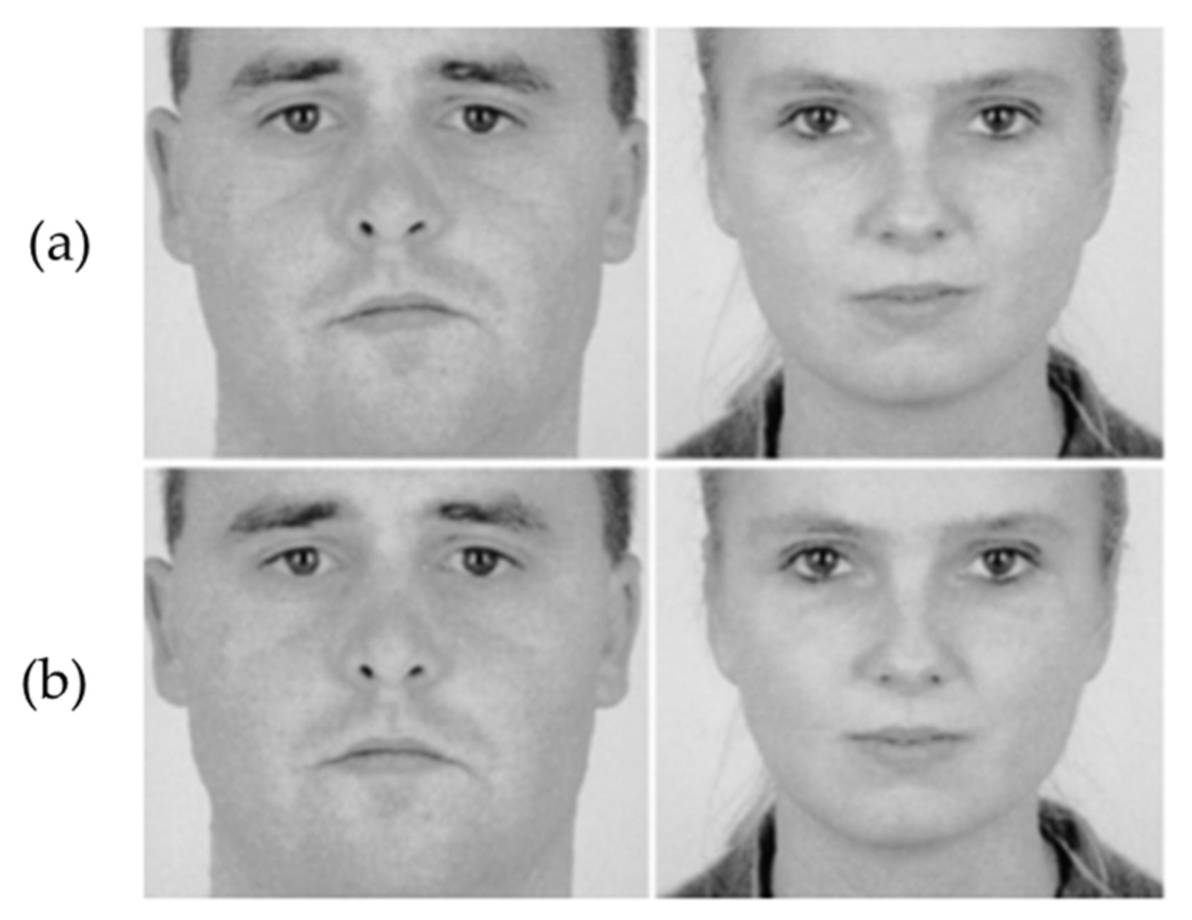 Symmetry 13 01252 g001