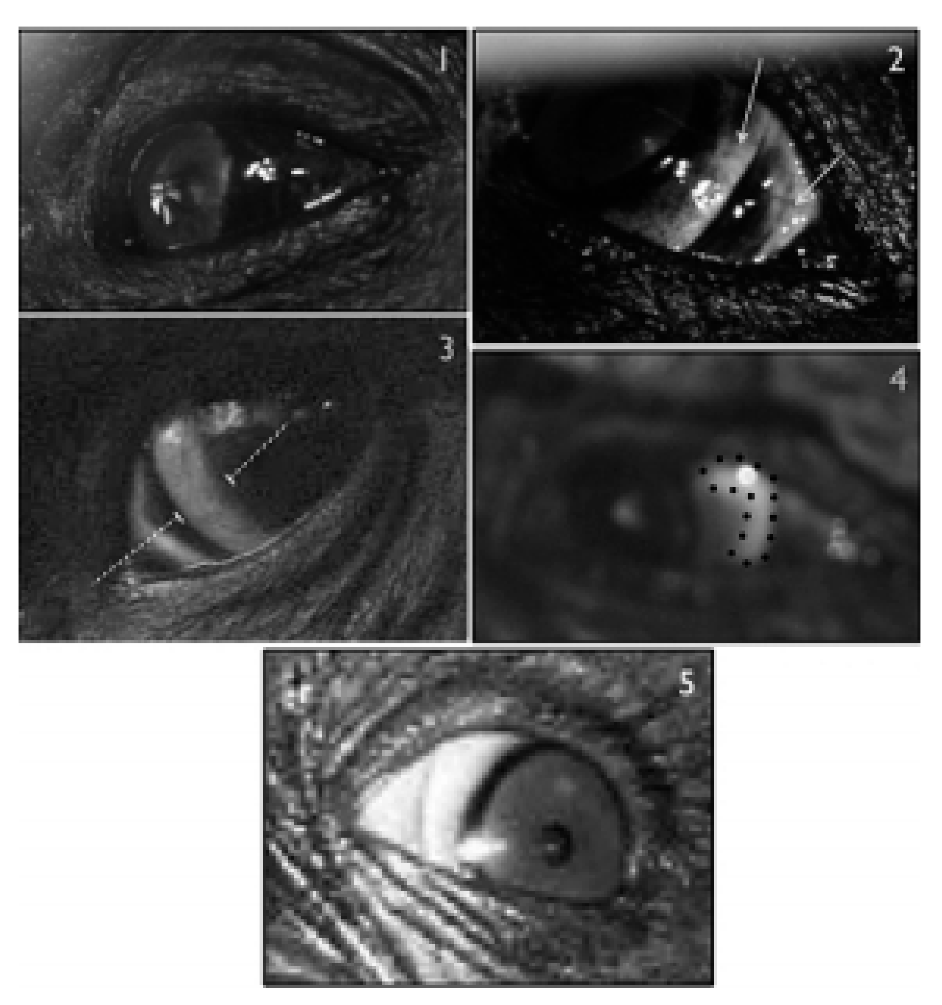 Symmetry 13 01270 g001 550