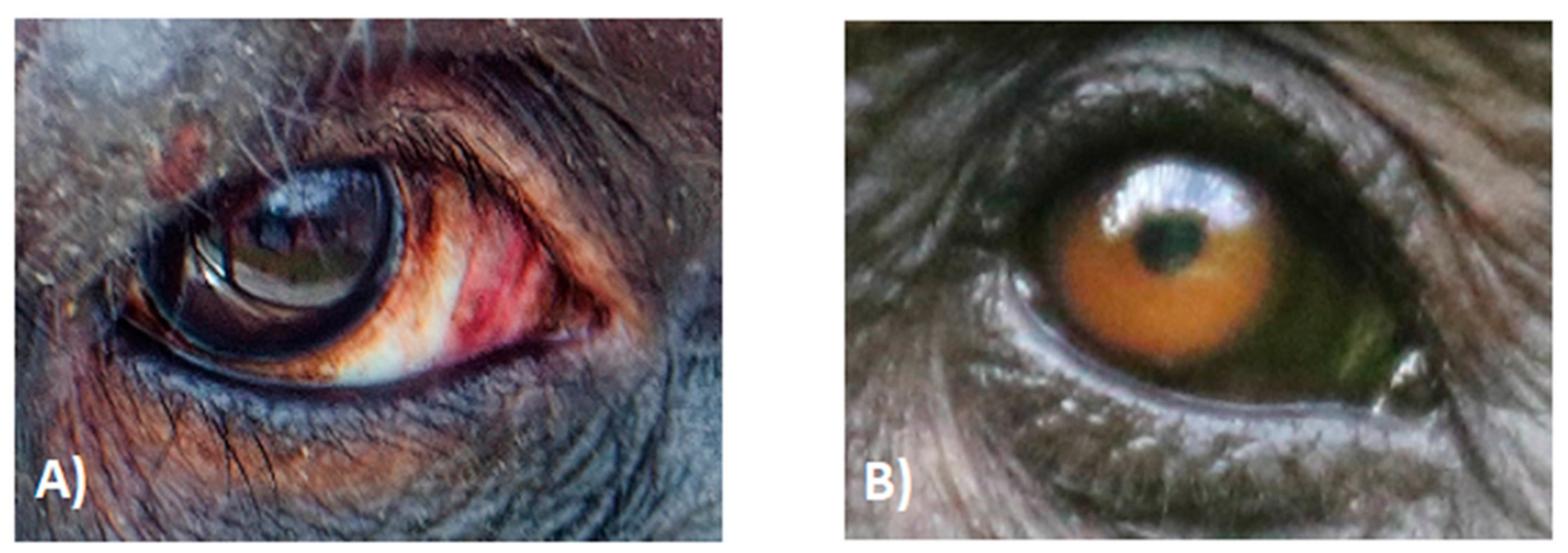 Symmetry 13 01270 g002 550
