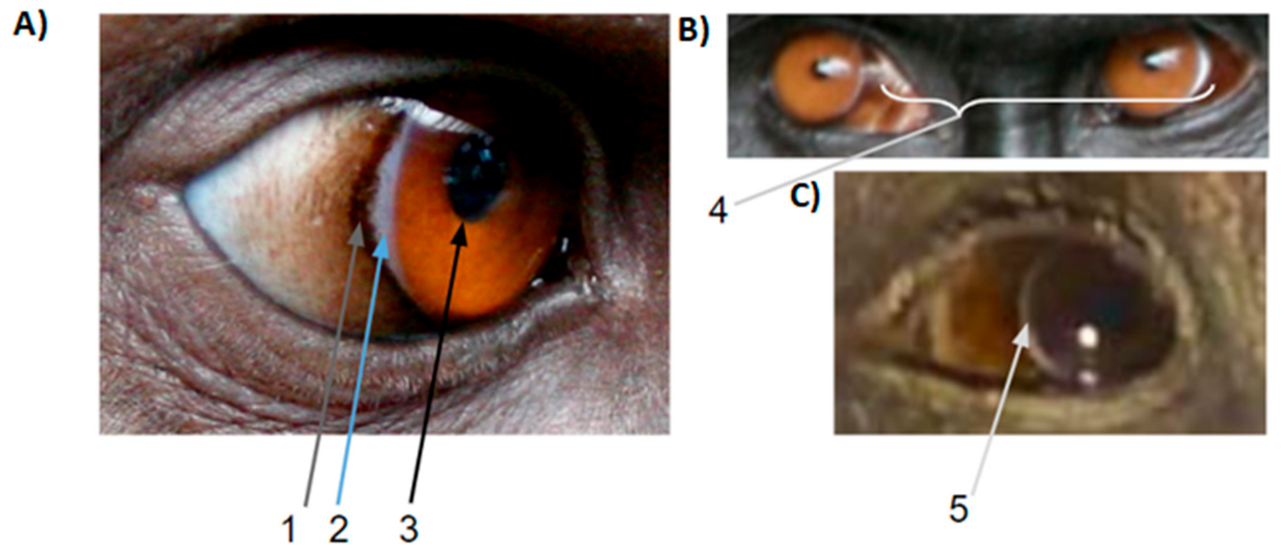 Symmetry 13 01270 g003 550