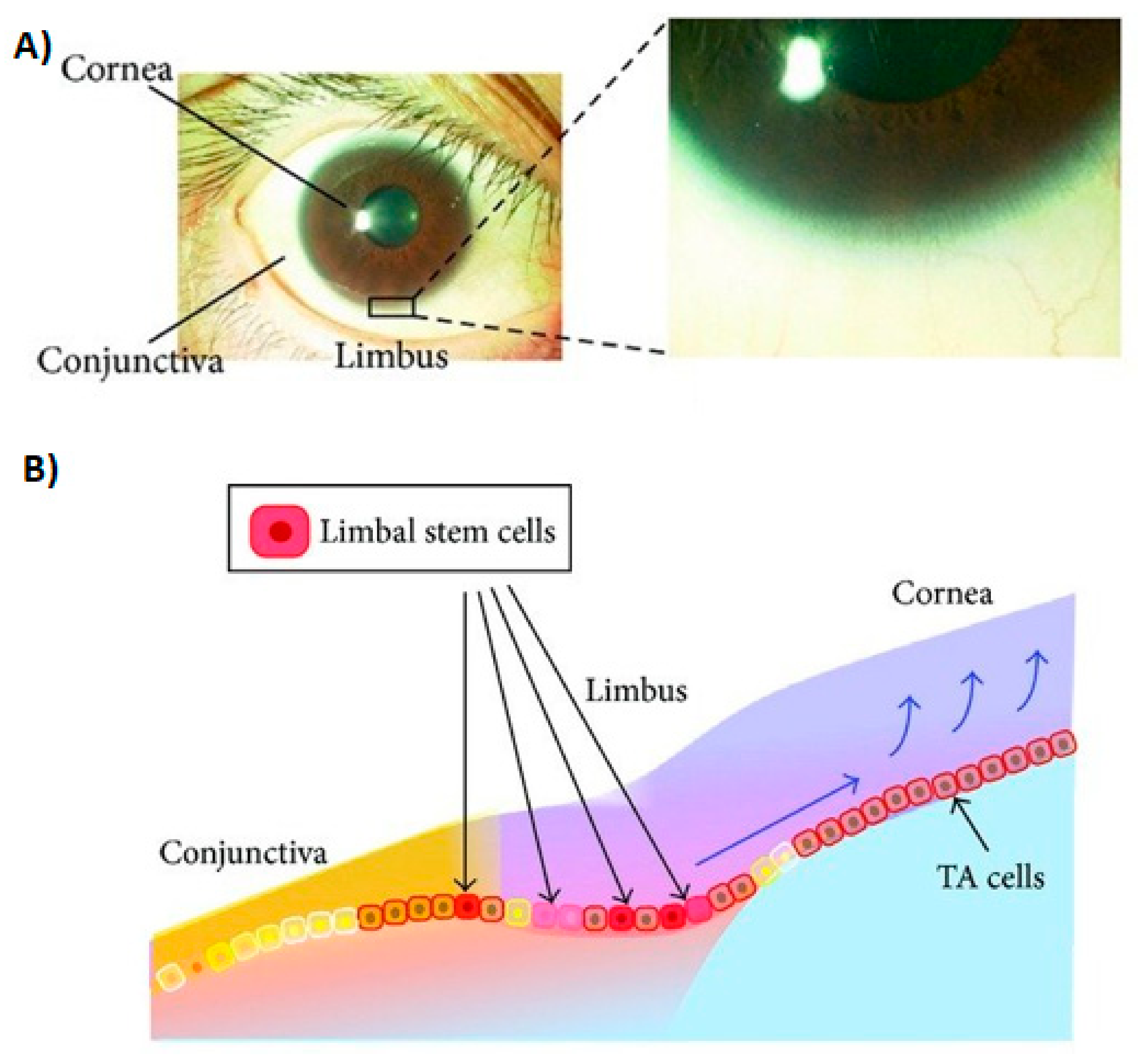 Symmetry 13 01270 g004 550