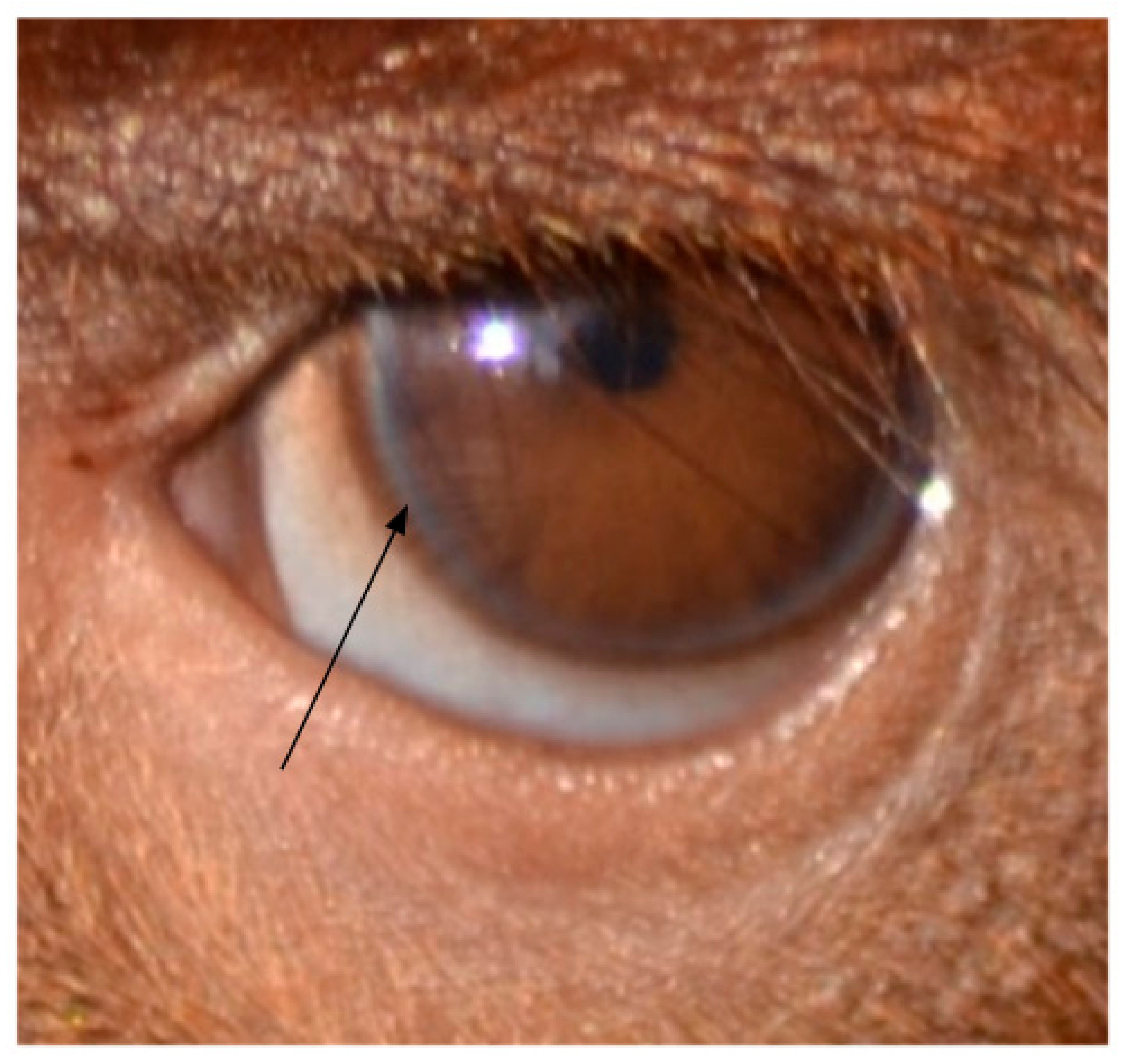 Symmetry 13 01270 g005 550