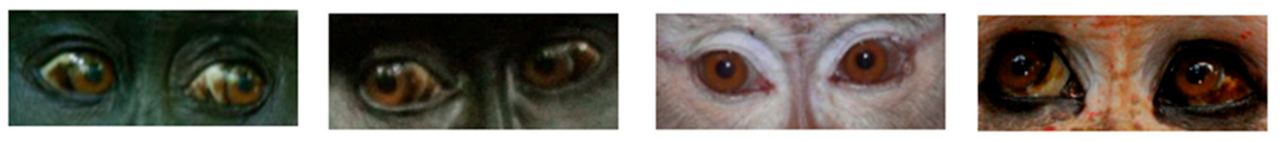 Symmetry 13 01270 g006 550