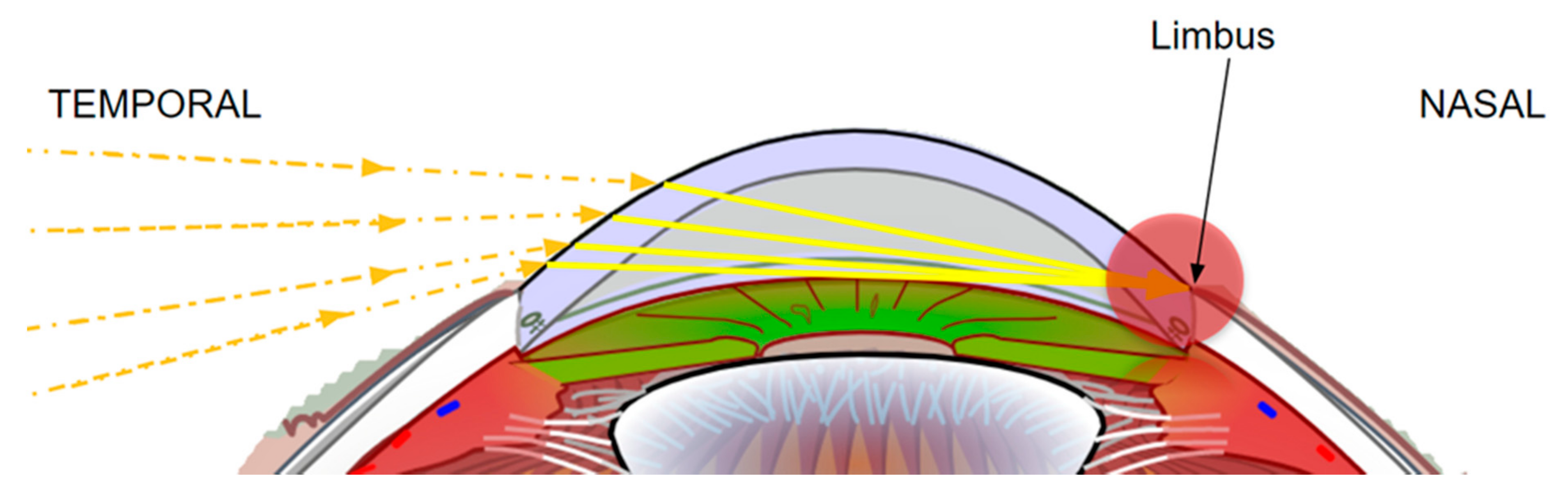 Symmetry 13 01270 g007 550