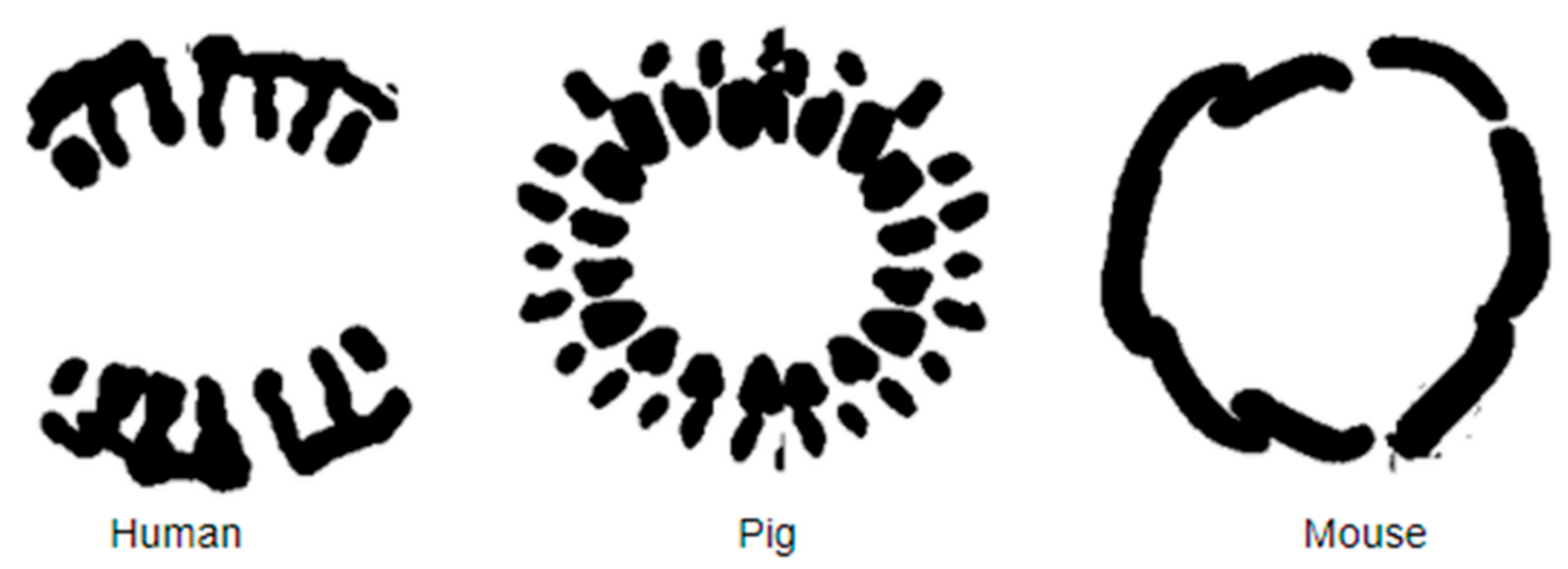 Symmetry 13 01270 g008 550