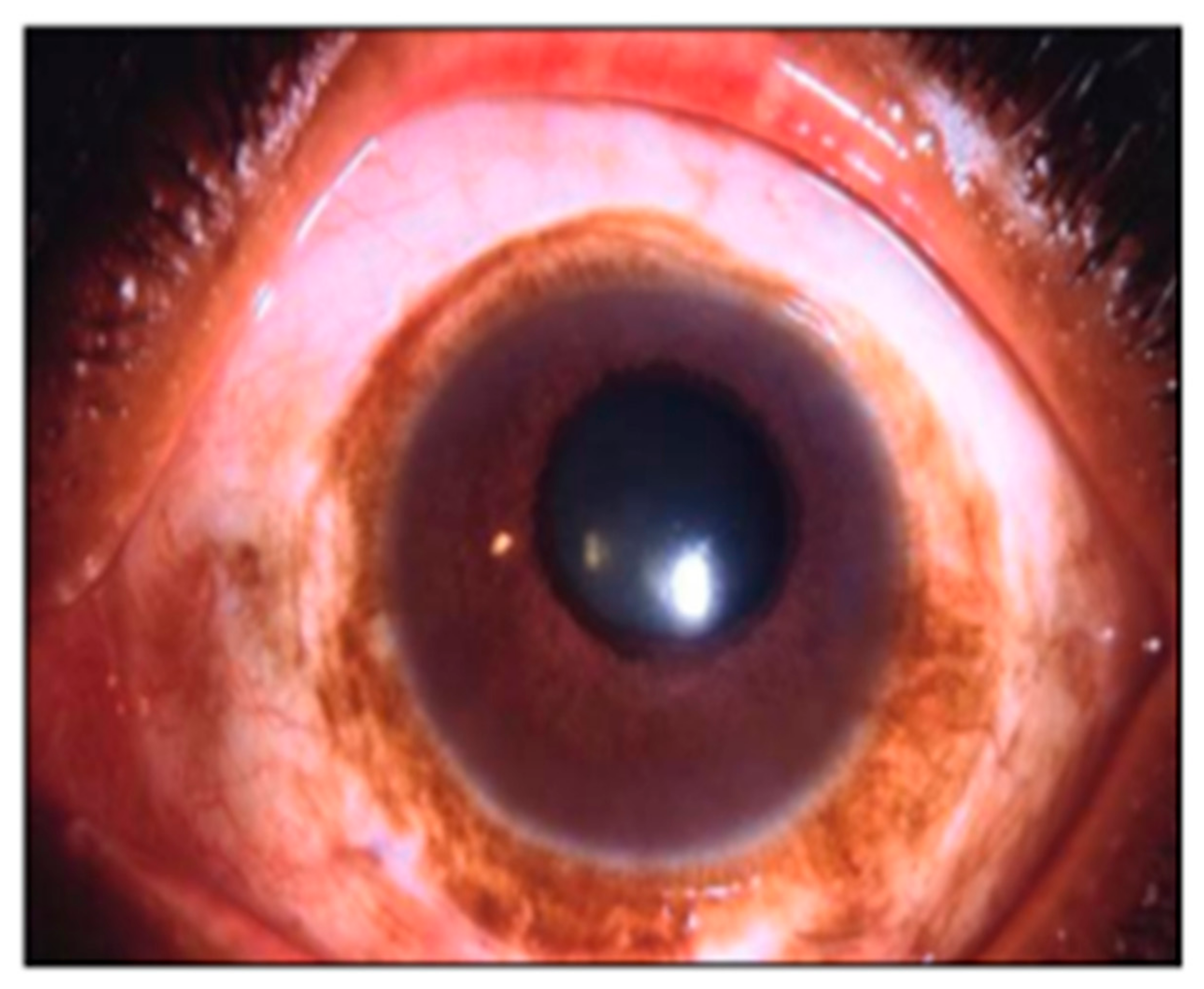 Symmetry 13 01270 g009 550