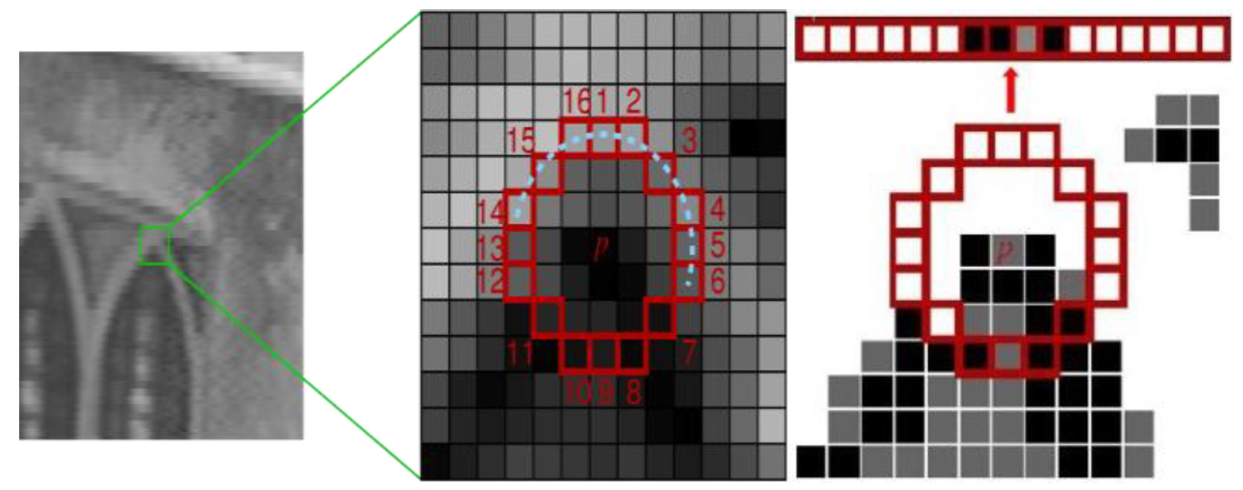 Symmetry 13 01337 g002