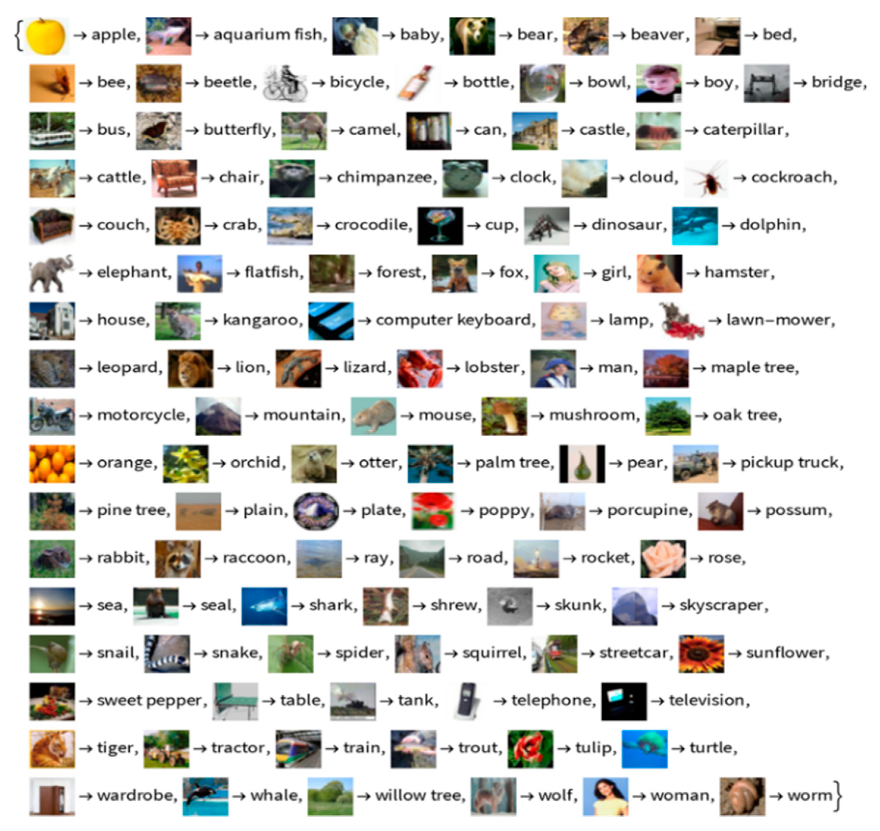 Symmetry 13 01344 g004