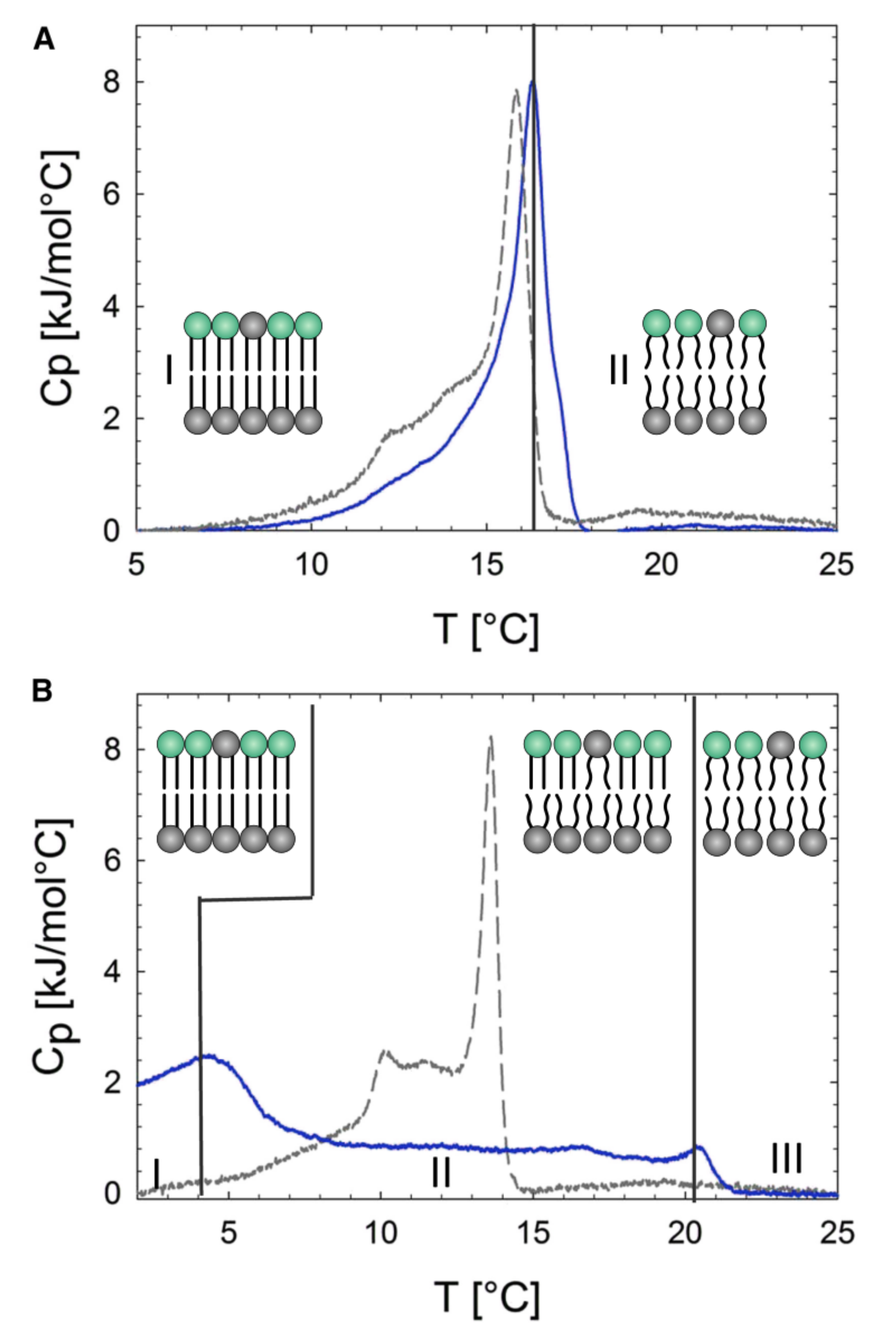 Symmetry 13 01356 g007