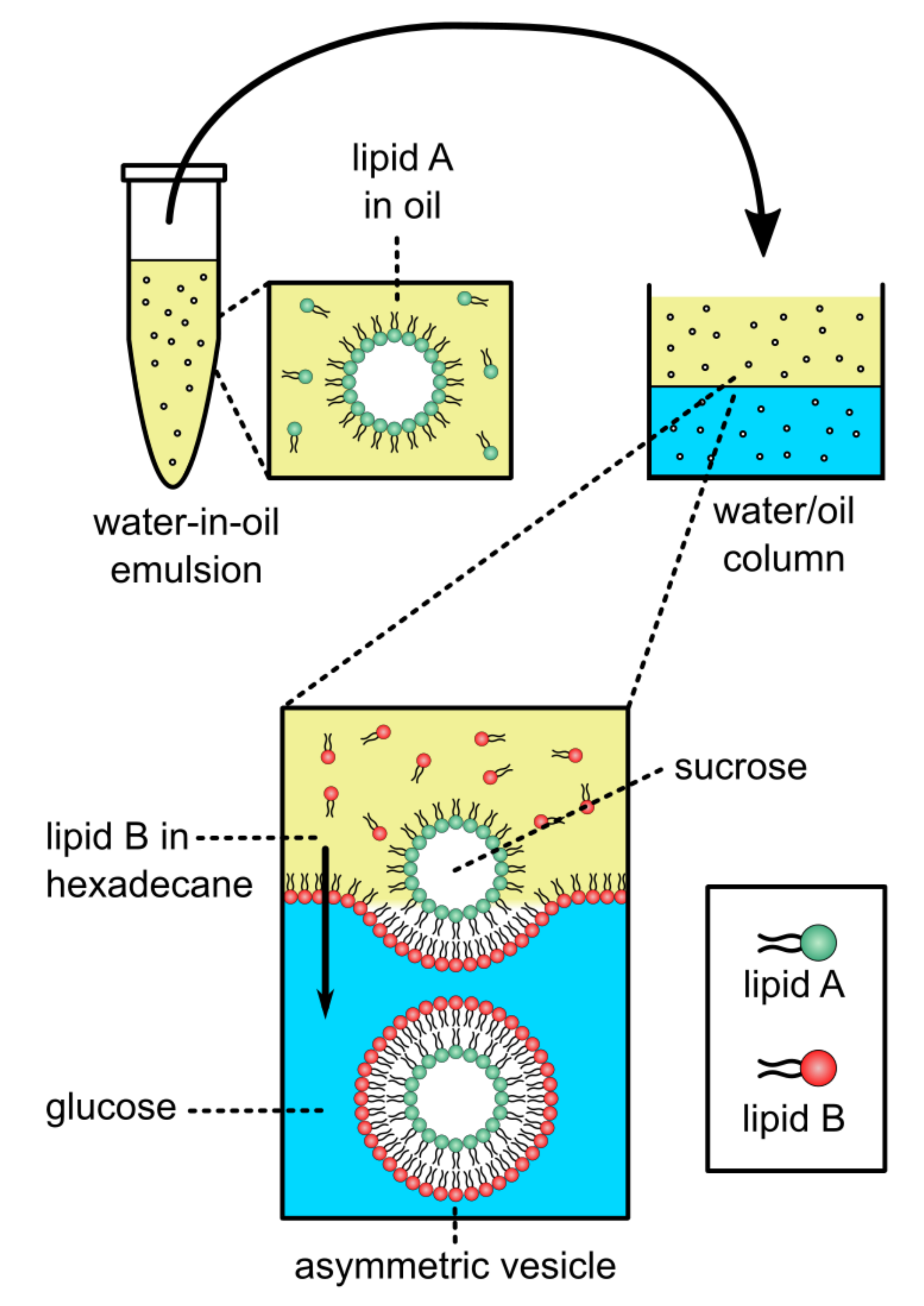 Symmetry 13 01356 g009