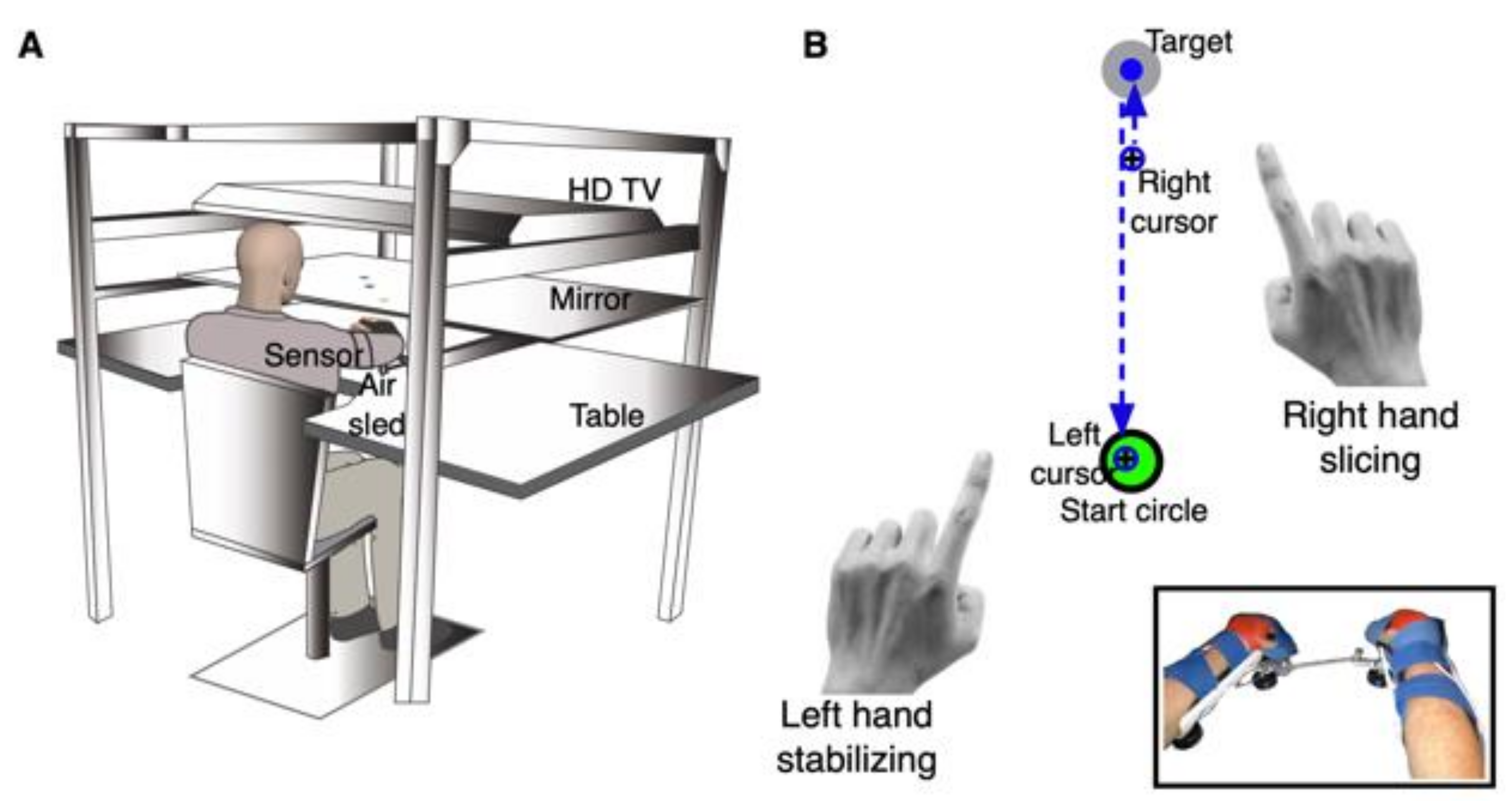 Symmetry 13 01366 g001 550