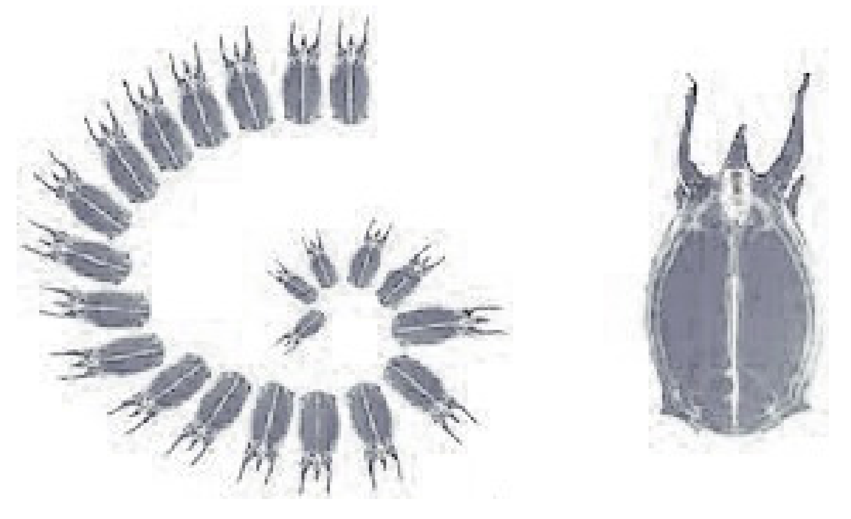 Symmetry 13 01377 g001 Symmetry 13 01377 g001