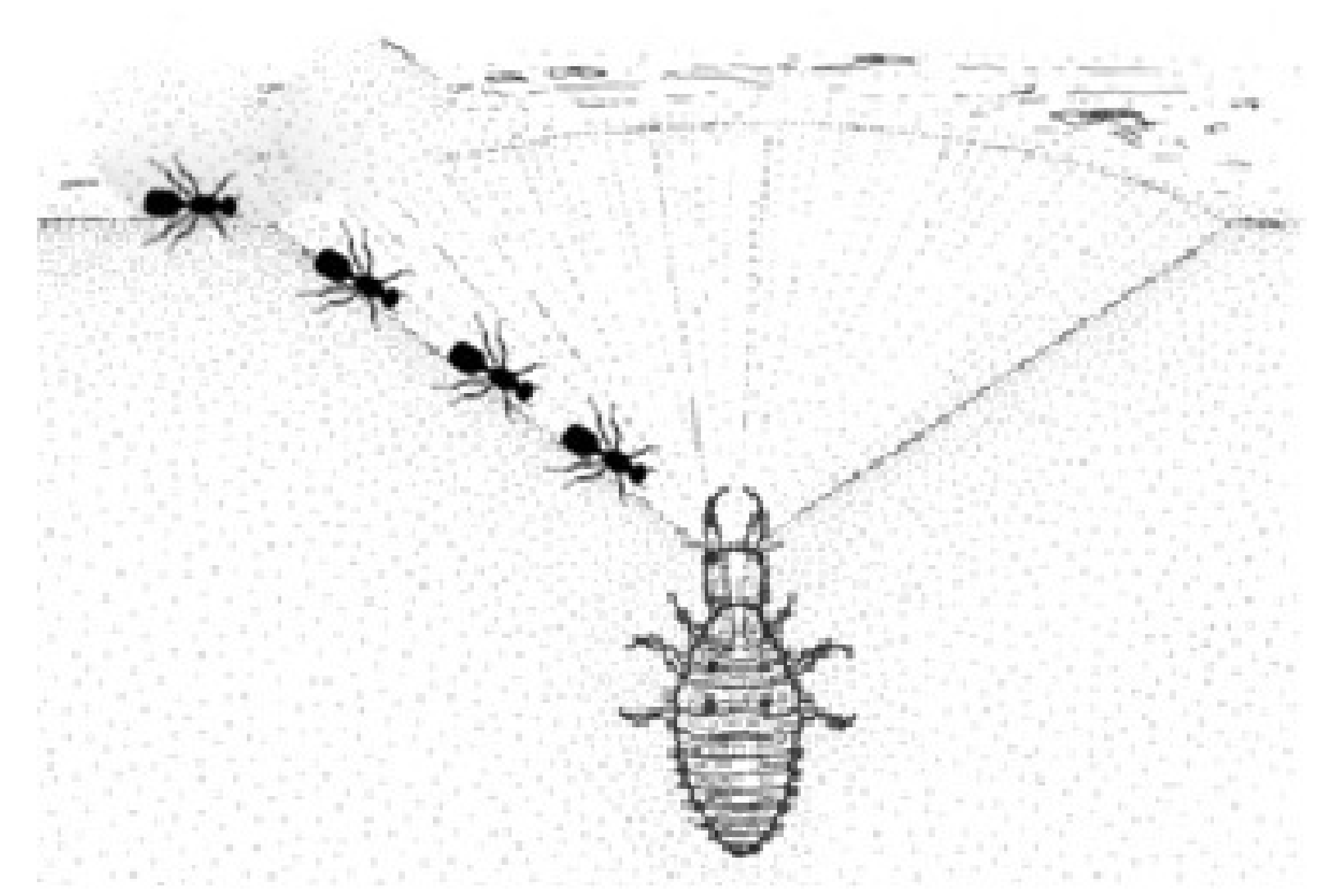 Symmetry 13 01377 g002 Symmetry 13 01377 g002