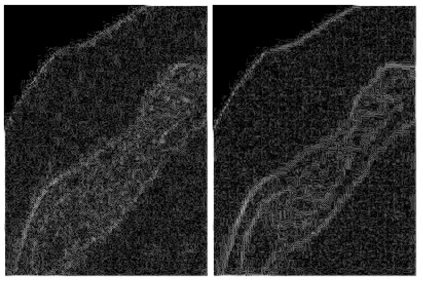 Symmetry 13 01450 g004