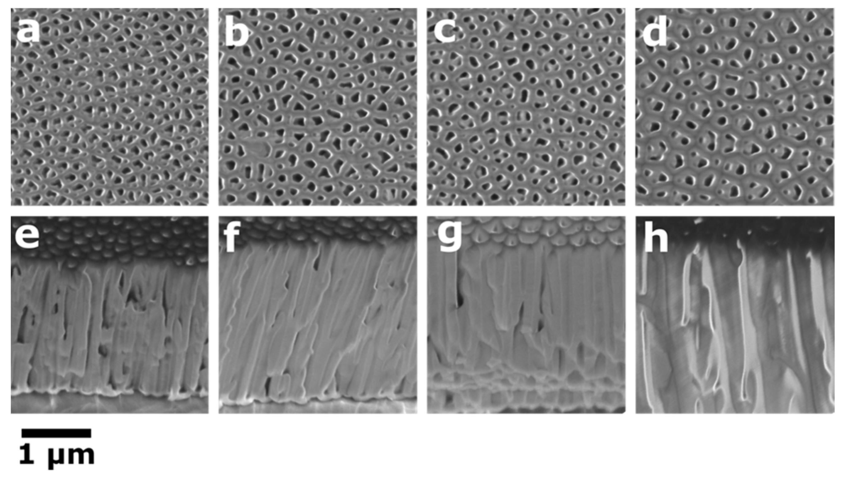Symmetry 13 01456 g002 550