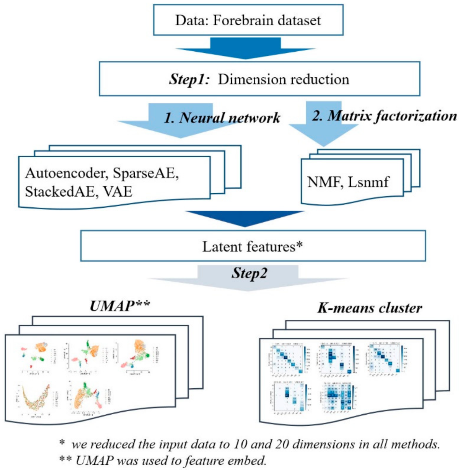 Symmetry 13 01467 g001 550