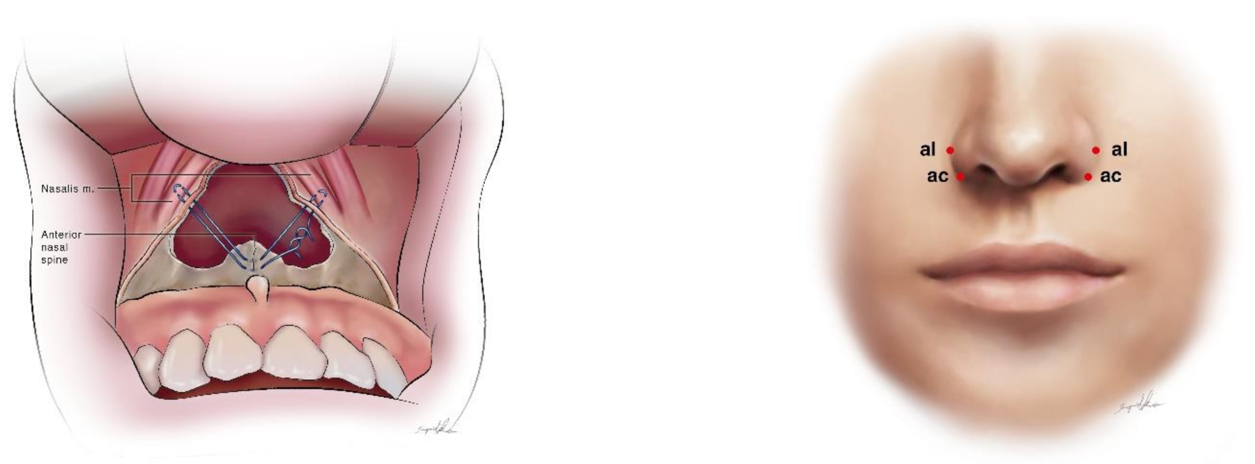 Symmetry 13 01495 g001 550