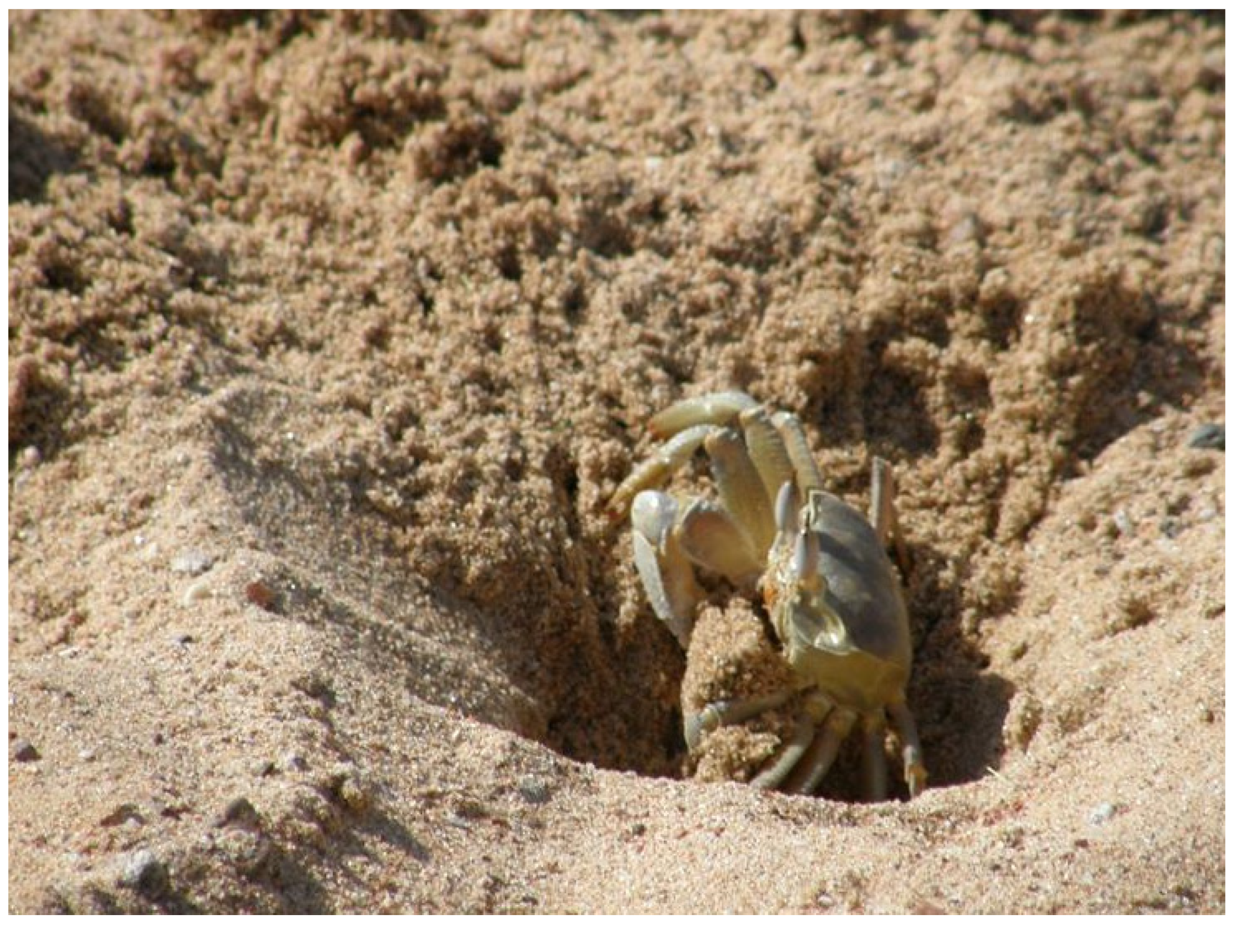 Symmetry 13 01512 g004 Symmetry 13 01512 g004