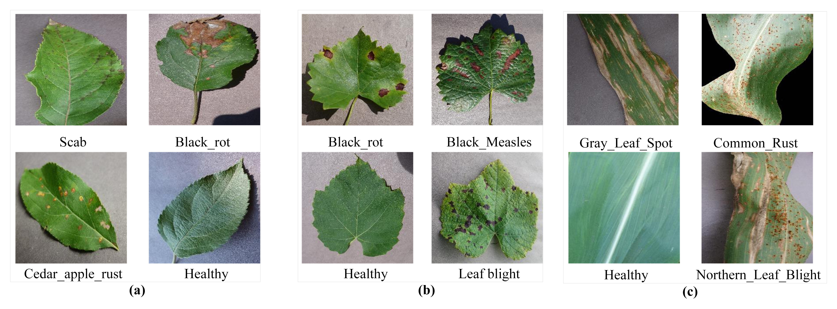 Symmetry 13 01597 g011
