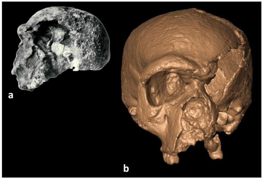 Symmetry 13 01611 g001 Symmetry 13 01611 g001