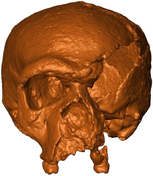 Symmetry 13 01611 g007 Symmetry 13 01611 g007