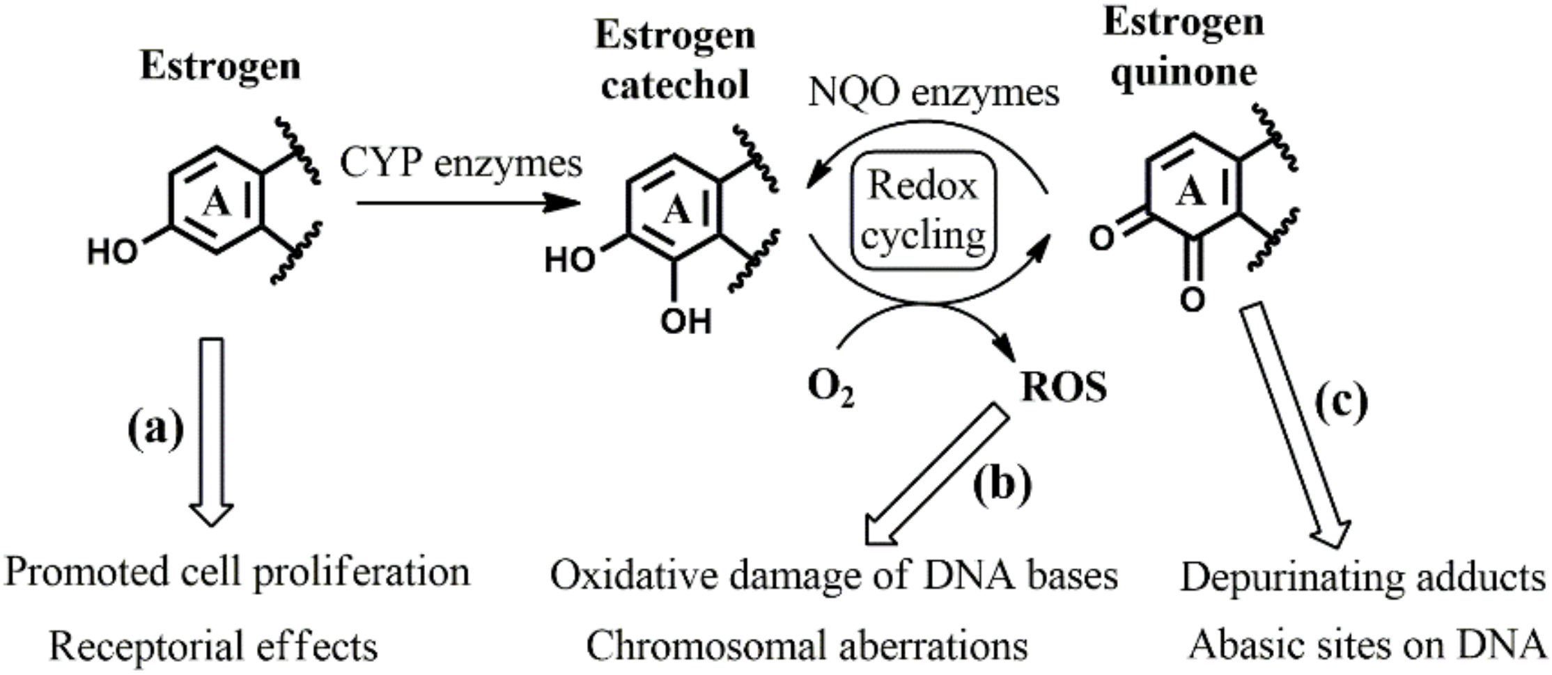 Symmetry 13 01641 g002 Symmetry 13 01641 g002
