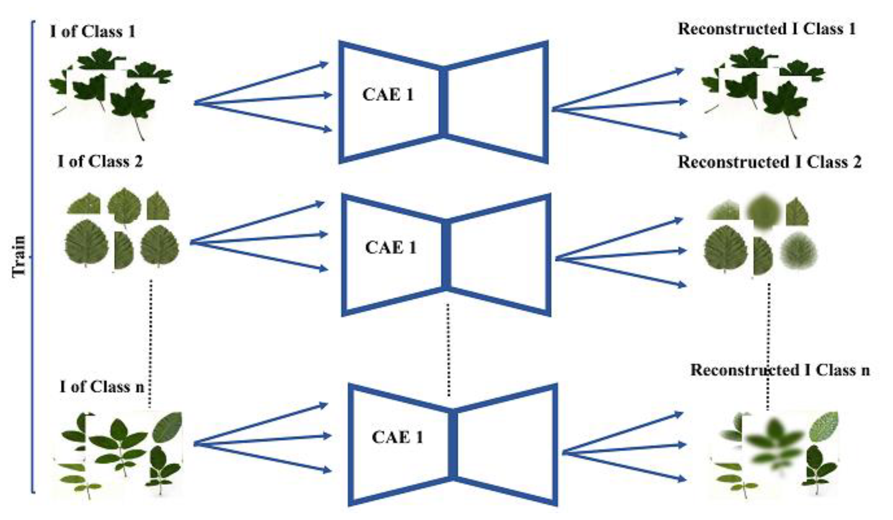 Symmetry 13 01705 g002 550