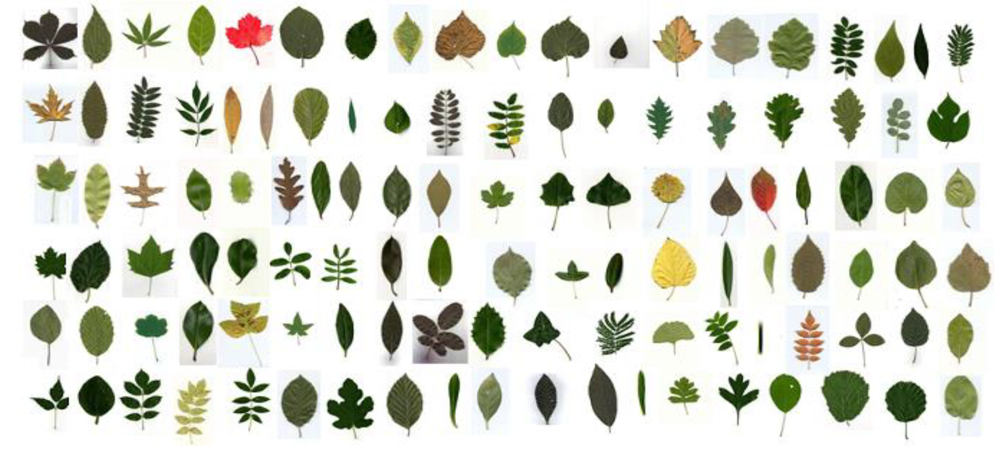 Symmetry 13 01705 g008 550