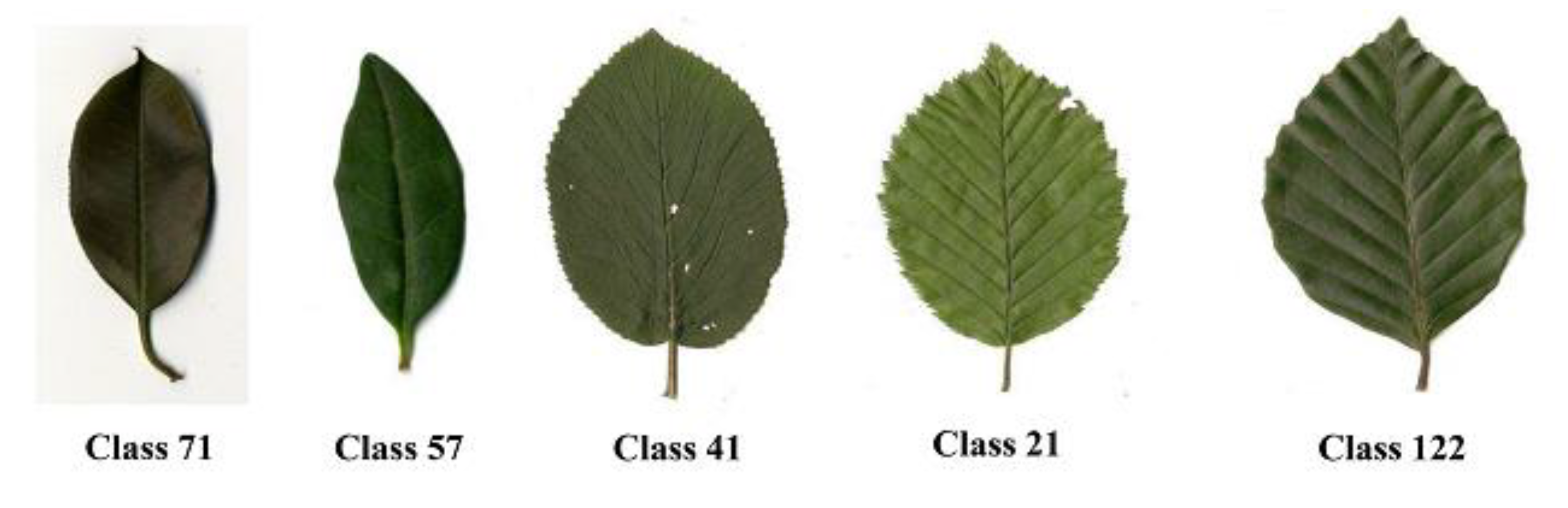 Symmetry 13 01705 g012 550