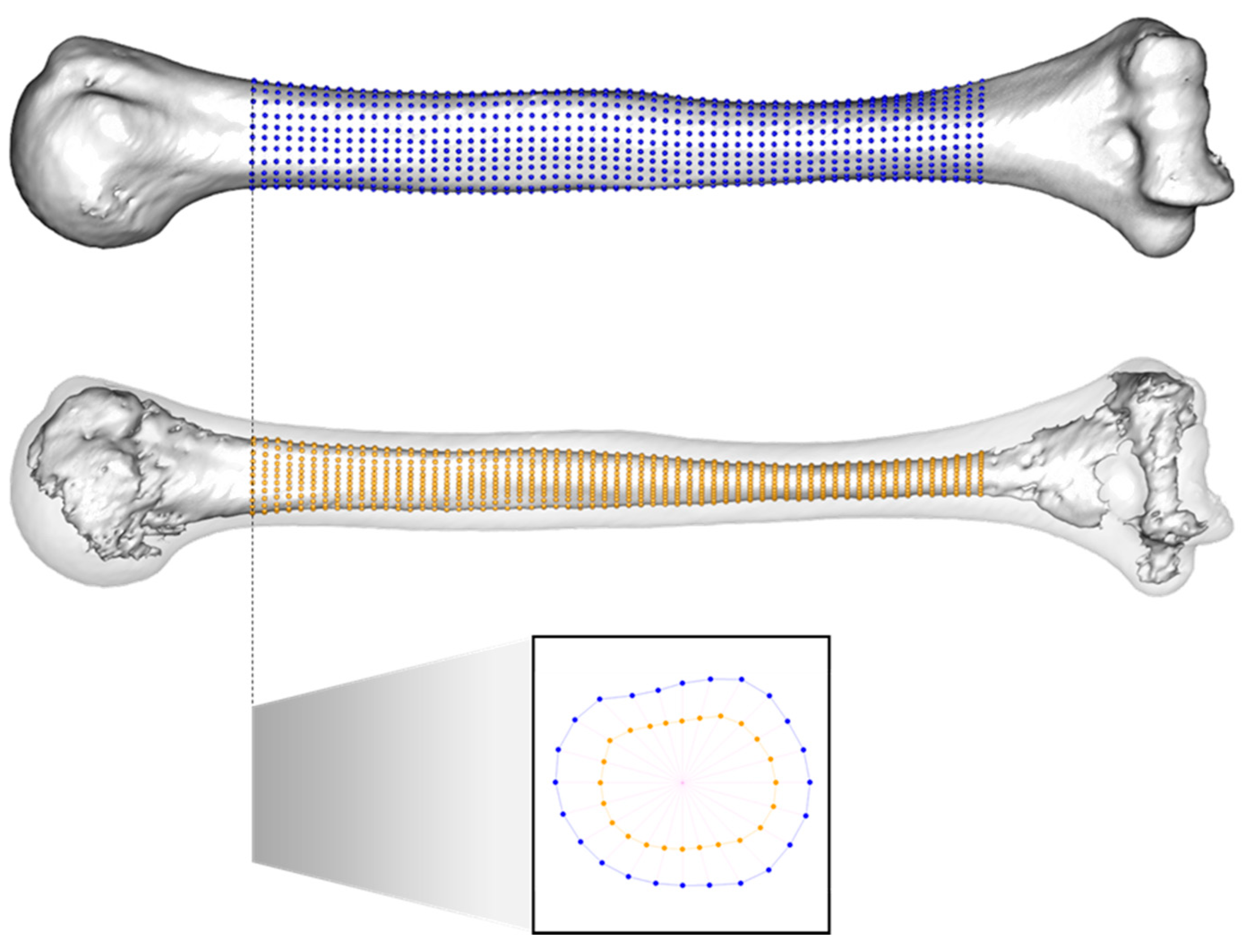 Symmetry 13 01711 g001