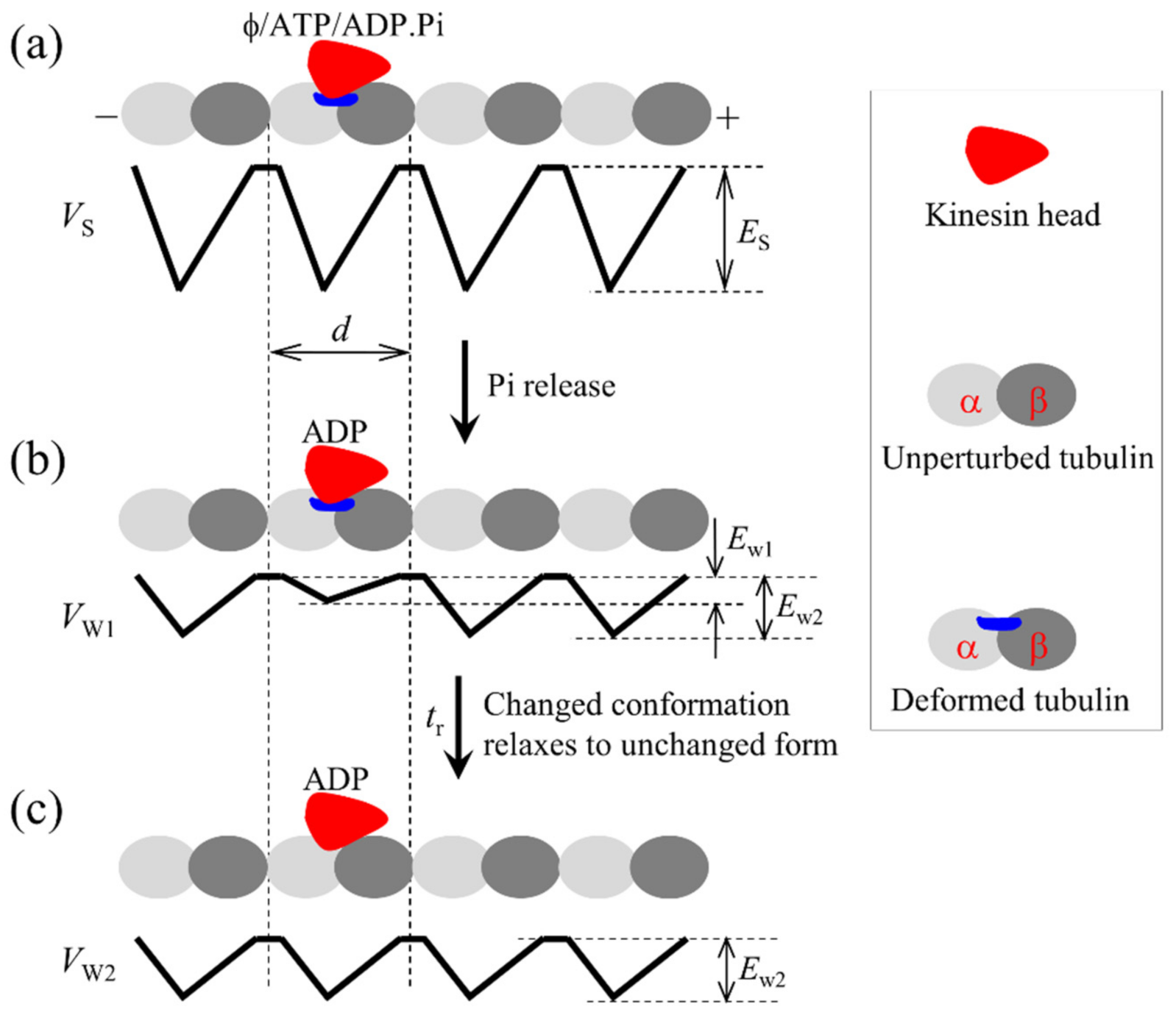 Symmetry 13 01799 g001