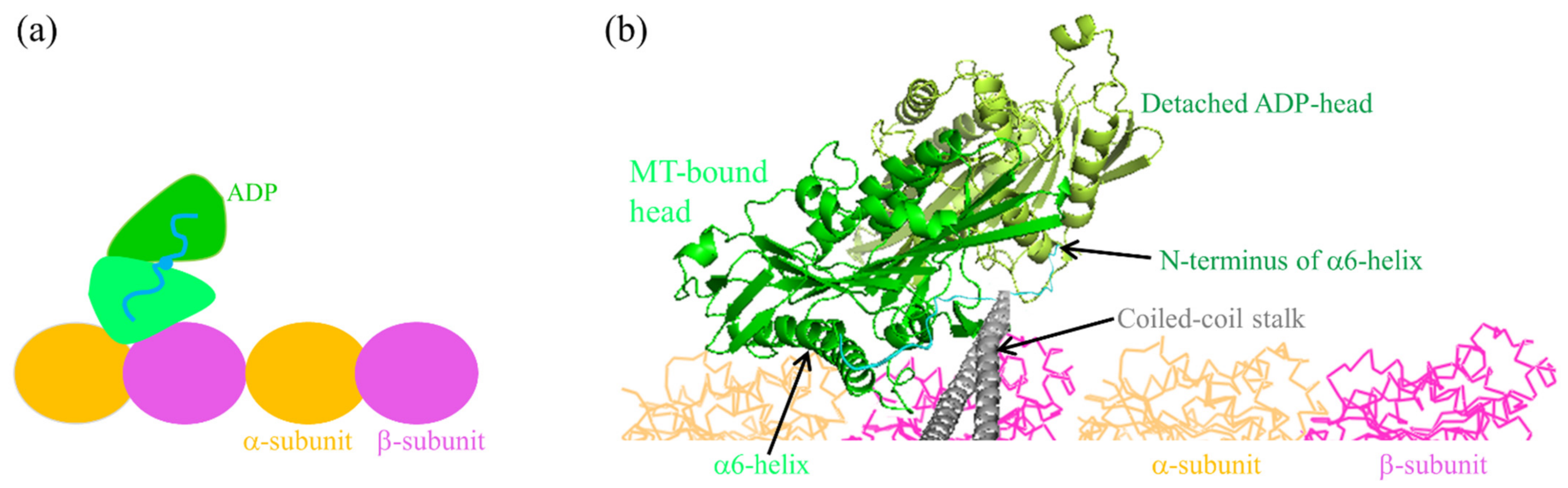 Symmetry 13 01799 g002