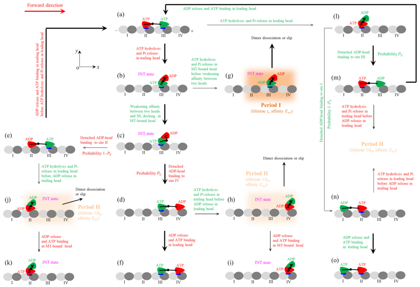 Symmetry 13 01799 g003