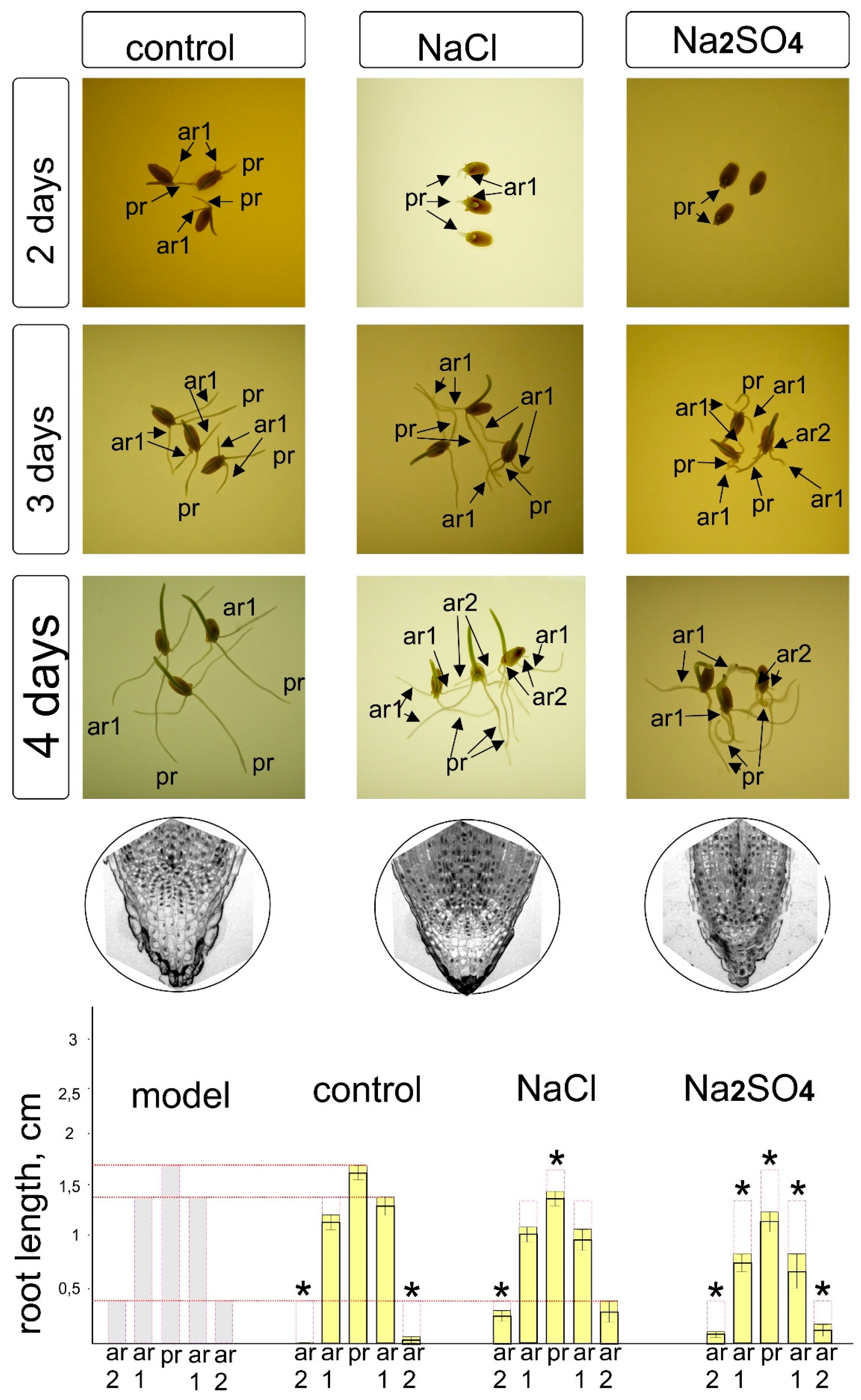 Symmetry 13 01811 g001 550