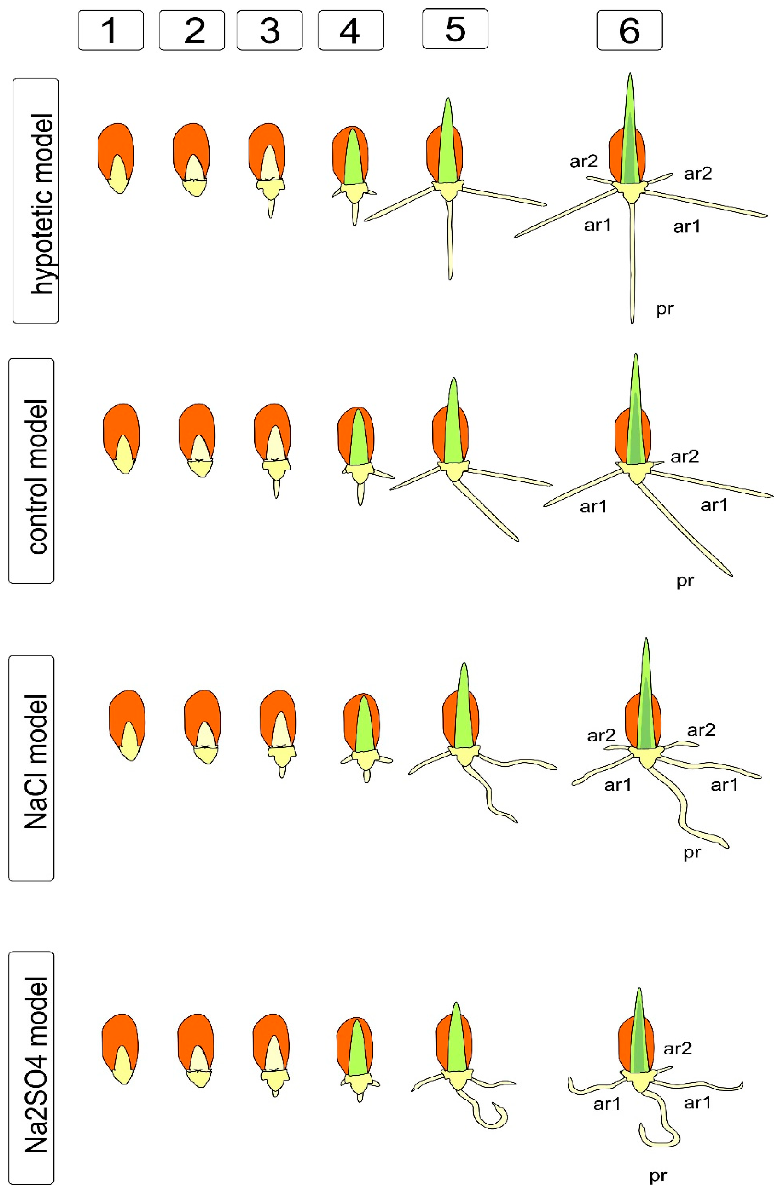 Symmetry 13 01811 g002 550