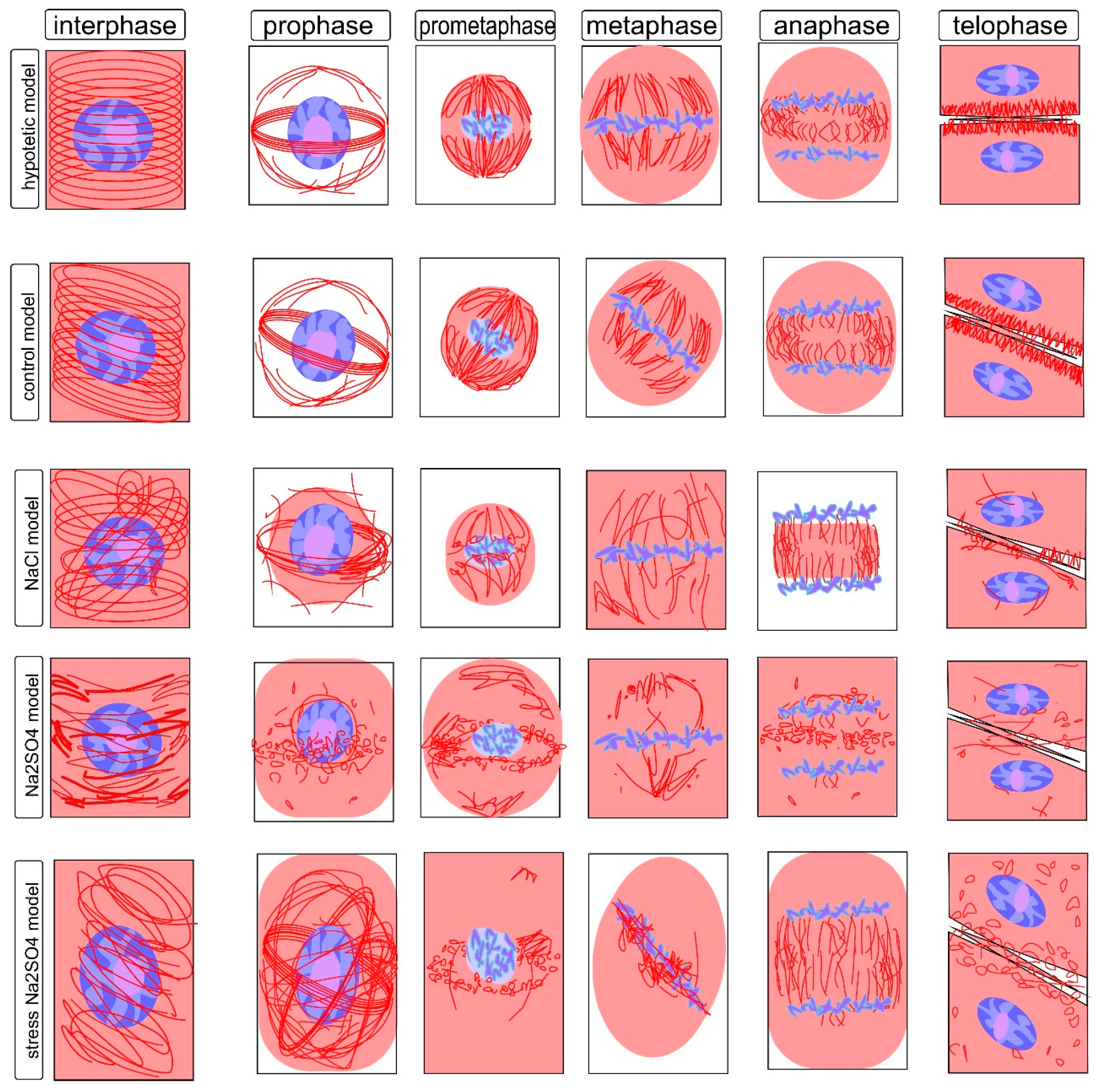 Symmetry 13 01811 g003 550
