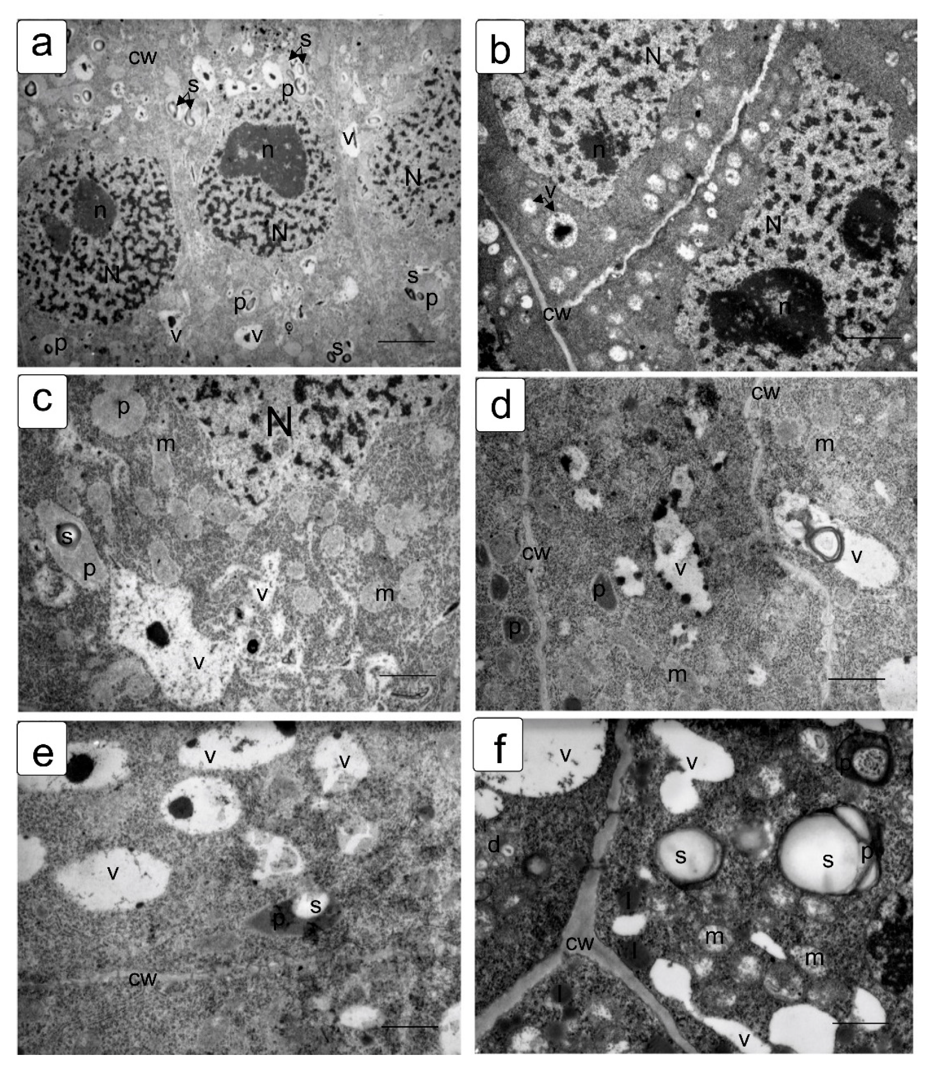 Symmetry 13 01811 g004 550