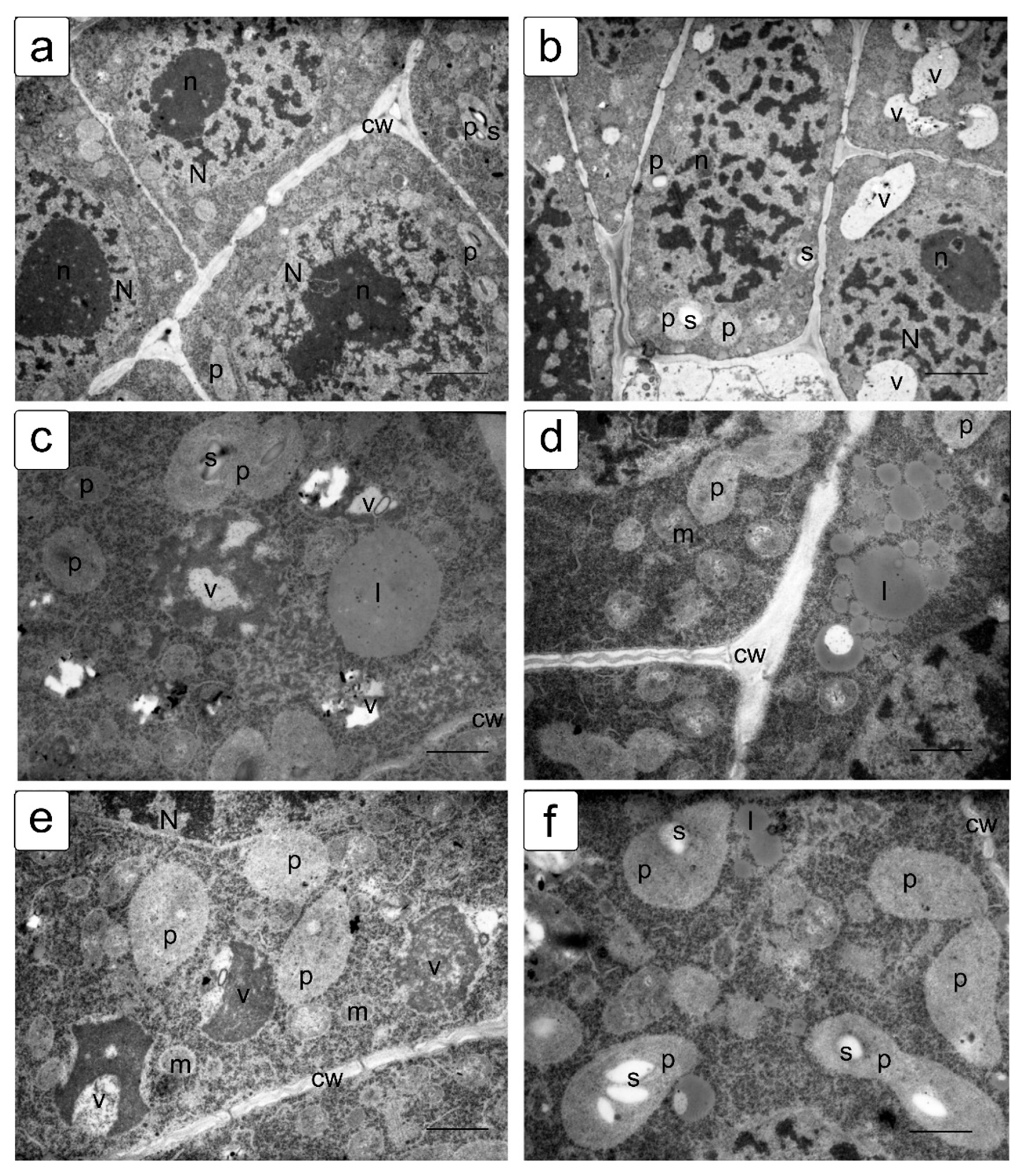 Symmetry 13 01811 g005 550