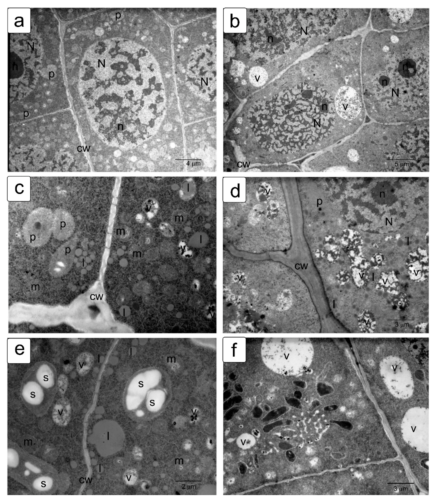 Symmetry 13 01811 g006 550