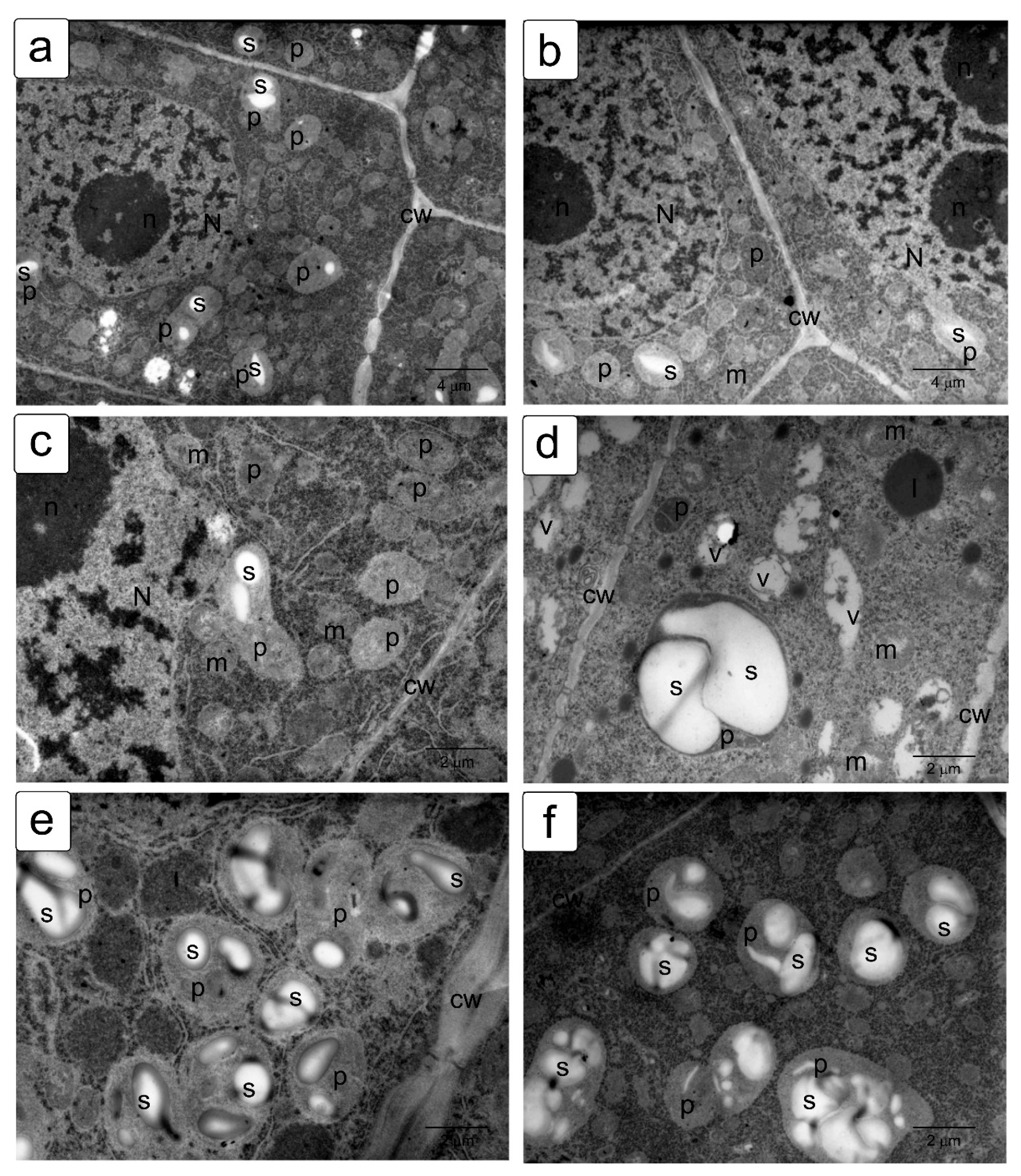 Symmetry 13 01811 g007 550