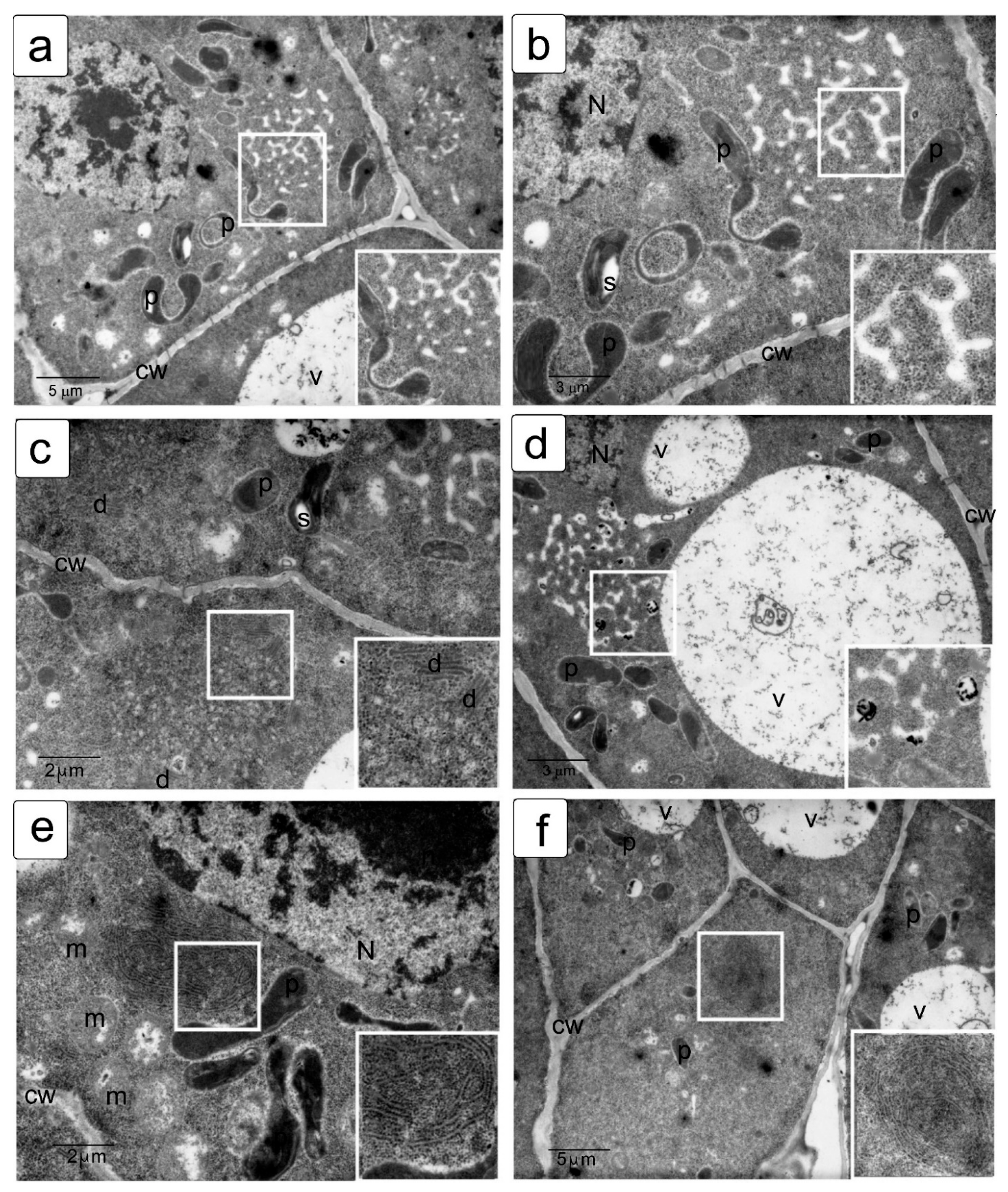 Symmetry 13 01811 g008 550